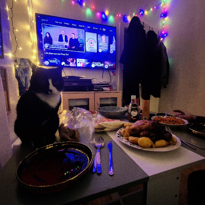 The image depicts a domestic interior, likely a dining or living area, with a meal laid out on a table. The specific location within Strasbourg, France, cannot be determined from the visual information, but elements like "Free TV" on the screen suggest a French-speaking region.
In the foreground, a dark-colored table is set. A large white plate centrally holds a roasted whole chicken surrounded by roasted potatoes. To its left, a dark oval serving platter with a golden rim is placed, alongside a silver fork and knife. Further left, a plastic-wrapped item, possibly bread, sits next to a grey bowl. To the right of the main dish, a bowl contains reddish granular food, resembling rice or bulgur. Various condiment bottles, including one labeled "Cannamela Pizza Oil," are also on the table. A human hand is partially visible on the far right of the table, near the bowl of granular food.
A black and white cat with distinct white markings on its chest, paws, and muzzle is seated upright on the left side of the table, looking directly towards the viewer.
In the background, a flat-screen television is mounted, displaying what appears to be a French news or current affairs program, with "MUNICIPALES 2020" and "ÉDITION SPÉCIALE" visible on screen. Below the television, a light-wood cabinet houses various electronic devices. Multi-colored string lights are strung horizontally above the TV and vertically down the wall to its left. To the right of the TV, dark coats hang on hooks on the wall. The room is dimly lit, with the television screen and string lights providing primary illumination, casting a blue and purple ambient light.