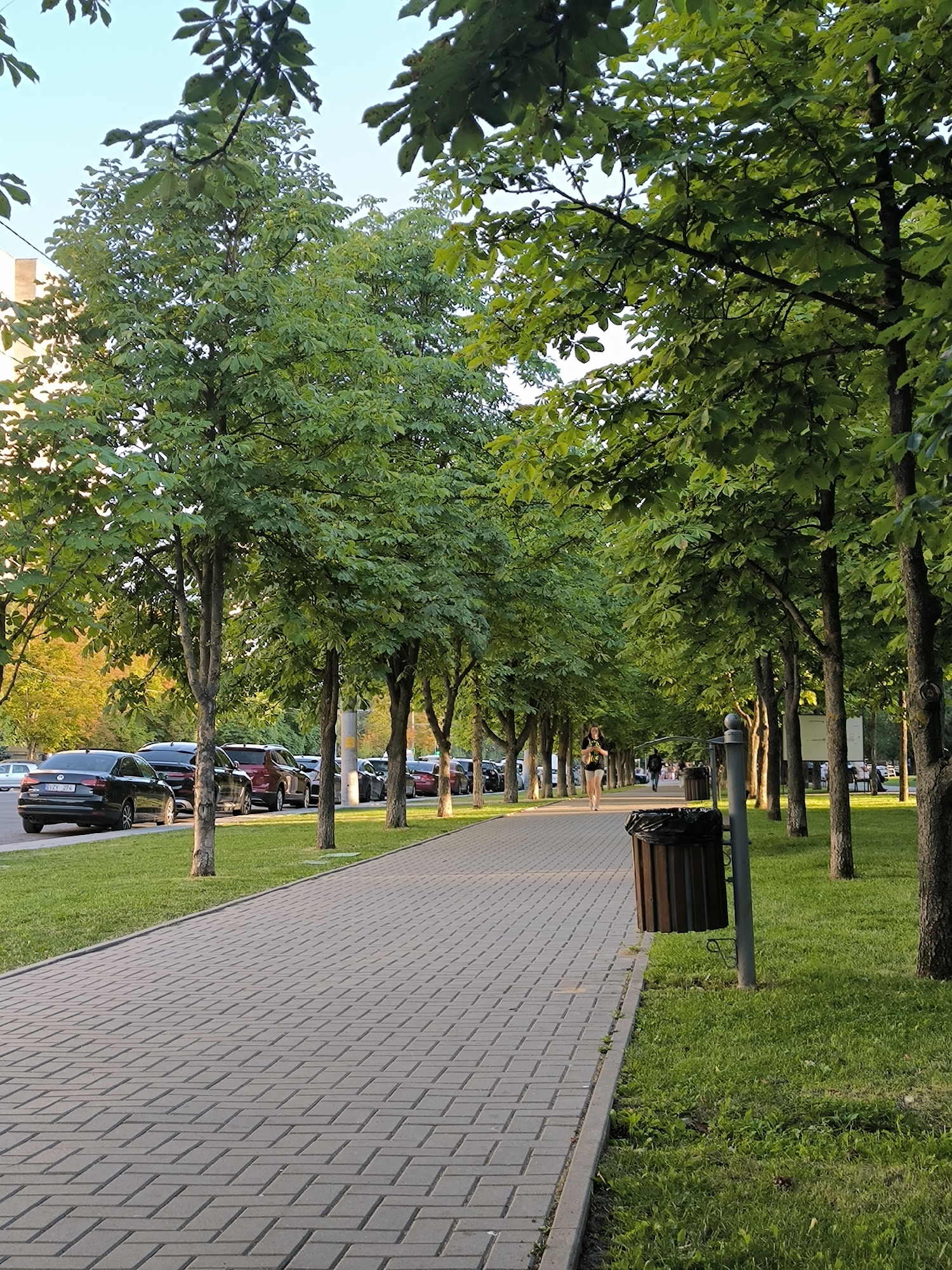 In this full shot, a tree-lined pathway in Chișinău, Moldova, is captured under a clear sky. The pathway, constructed of light gray pavers laid in a running bond pattern, curves slightly to the right and leads into the distance. Green grass borders the pathway on the right, with a dark brown trash receptacle mounted on a gray pole positioned to the right of the path. On the left side of the path, a row of trees with lush green foliage stands along a street where several cars are parked. The cars include a black sedan, a black SUV, a dark red SUV, and other vehicles further down the street. A woman is visible walking away from the camera on the pathway, wearing a black top and shorts. In the background, more trees and a building are discernible. The lighting suggests it is late afternoon or early evening, with a warm glow on the distant trees.