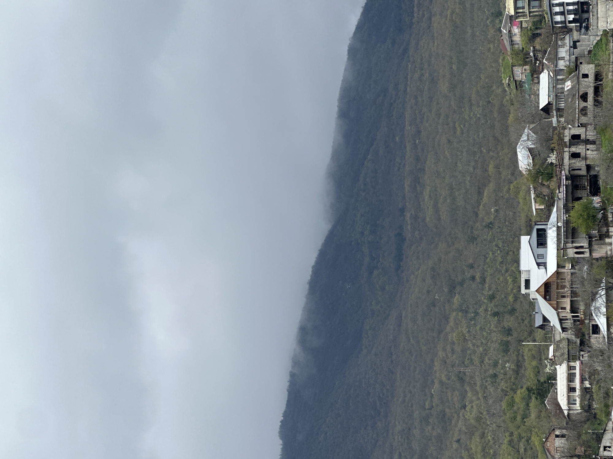 The image shows a cityscape nestled against a mountainside in Tbilisi, Georgia. Buildings of varying architectural styles are arranged vertically along the right side of the frame, ranging from modern white structures to older, partially dilapidated buildings. A densely wooded mountain occupies the center, partially obscured by low-lying clouds or fog. The left side of the image is dominated by a gray, overcast sky. The atmosphere appears hazy, with a limited range of color and contrast.