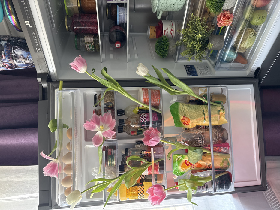 The image depicts the open interior of a contemporary, dark-grey double-door refrigerator, brightly illuminated. The scene is set in an indoor domestic environment, location Unknown, Unknown.
The left refrigerator door, which appears to be the freezer section, contains clear plastic shelves. The top shelf holds nine eggs in a clear tray, with a light pink tulip laid horizontally above them. Below this, various jars and bottles are visible, including one labeled "КАВКАЗКАЯ" and another containing mustard seeds. The next shelf down displays dark sauces/dressings, interspersed with three pink tulips, two of which have fringed petals and are rooted in small, clear water-filled containers. The bottom shelf holds flexible food packaging (e.g., mayonnaise, "РЯБА" branded sauces) and several tulips (pink and white) with their stems in repurposed plastic bottles or small vases containing water.
The right refrigerator door, the main refrigeration compartment, contains multiple shelves. The top shelf displays various glass jars of preserved foods. Below this, a dark bottle lies horizontally, next to small white containers. The subsequent shelf holds a cylindrical "RAFAELLO" container, a light green pot with a white rim, and two small potted artificial spherical green plants. A white tulip stem extends upwards from a lower shelf. The bottom crisper drawer is partially visible, containing fresh produce such as carrots, leafy greens, and fruit. An artificial pink rose and another small potted artificial green plant rest on top of this drawer.
A window, partially covered by white sheer curtains and darker purple curtains, is visible in the background to the left of the refrigerator. No people are present in the image.