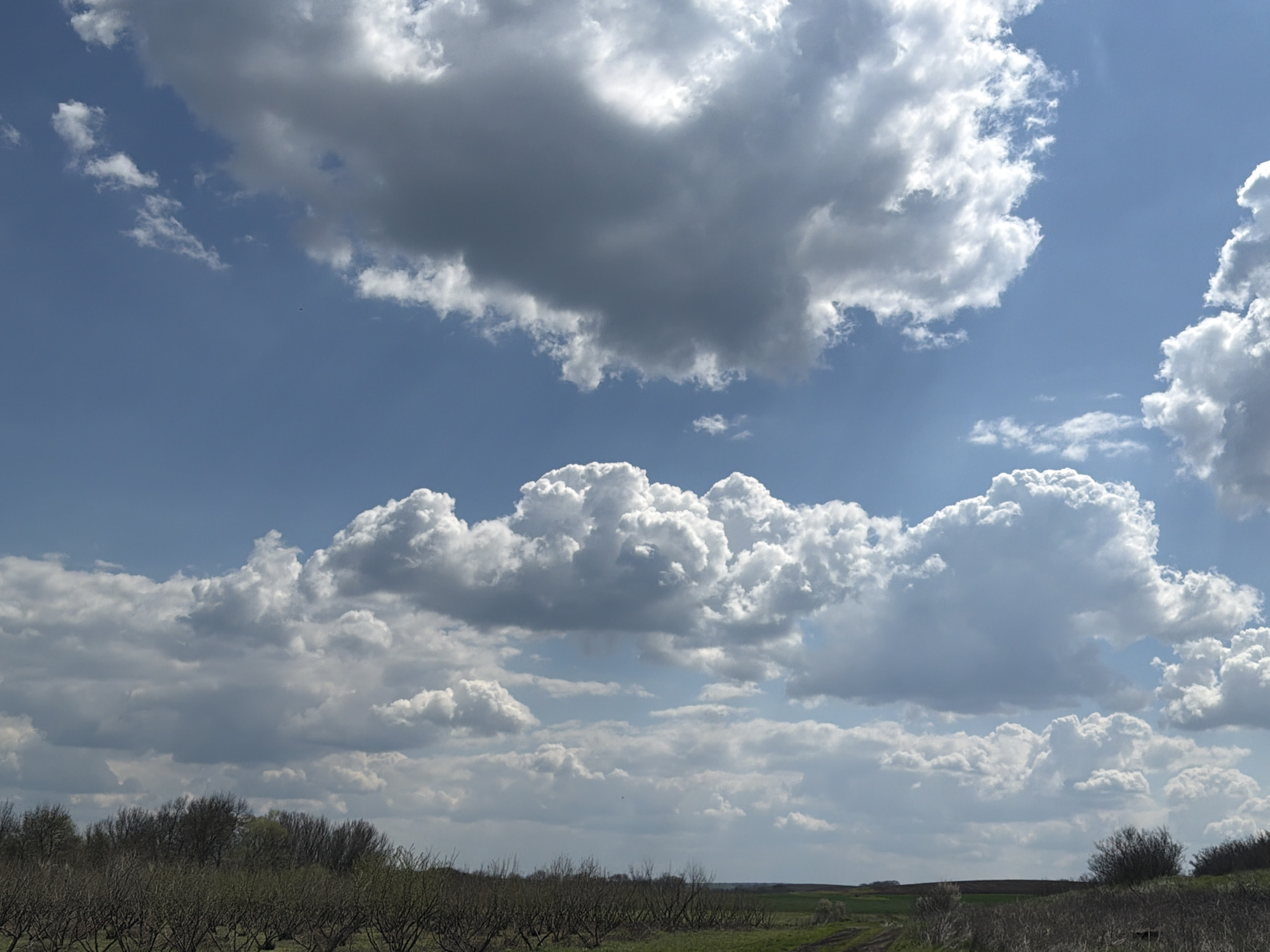 The image shows a rural landscape in the vicinity of Rusokastro, Bulgaria, under a sky with scattered cumulus clouds. The sky is predominantly blue with varying shades indicating cloud cover thickness. The ground features a field of cultivated plants, possibly young trees or shrubs in rows. In the background, a low horizon line is visible, with slight elevation changes and hints of vegetation. The environment is open and agricultural. There are no people or specific actions evident in the scene.