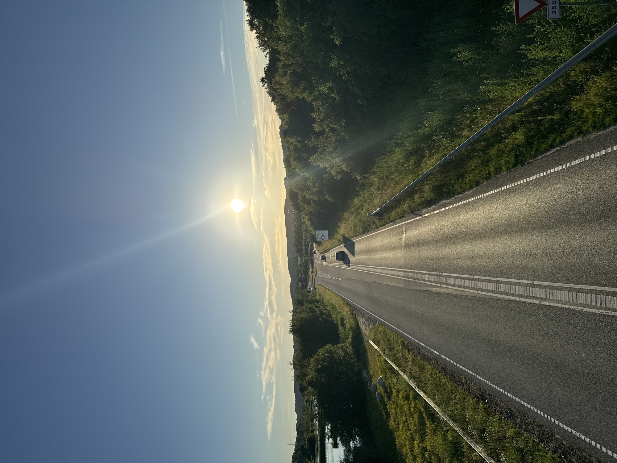 A drone-like, high-angle perspective shot captures a sun-drenched, two-lane asphalt road stretching into the distance. The road is bordered by lush green grass and trees, with a calm body of water on the left side. The sun is bright and positioned in the upper right quadrant, casting long shadows and creating lens flares. A few cars are visible on the road. In the background, rolling hills are covered in dense vegetation. A white triangular road sign with the number "250" is visible on the right side of the road. The scene is set in a natural, undeveloped area, likely on the outskirts of Vejle, Denmark.
