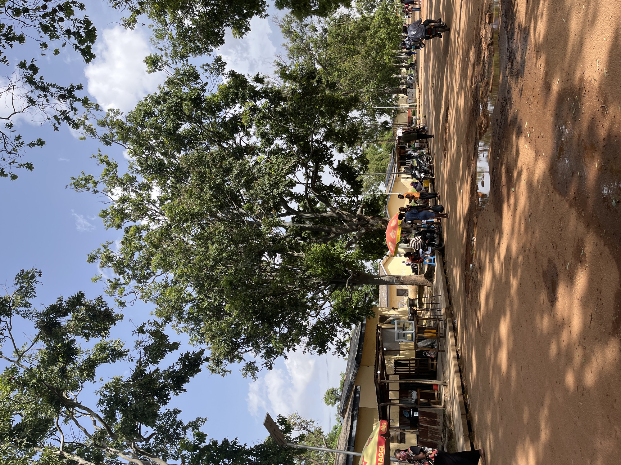 This image depicts a bustling street scene in Jos, Nigeria, likely during the day under a partly cloudy sky. The foreground is dominated by lush green trees, their branches arching upwards towards the bright blue sky. The ground is a reddish-brown earth, with puddles of water indicating recent rain.
Along the side of the road, a row of yellow buildings suggests a commercial area. People are gathered outside these establishments, some standing and chatting, while others are seated. Several motorcycles are parked, indicating this is a common mode of transportation. One person is seen on a motorcycle in the background, moving along the street. There are also umbrellas set up, one red and yellow labeled with "MAGGI," suggesting vendors are operating. Chairs and tables are visible outside some of the buildings, implying an outdoor seating area for patrons.
The overall impression is one of an active community, with daily life unfolding on the street. The sunlight casts dappled shadows through the trees onto the ground, suggesting it is not midday. The presence of puddles implies that it may have rained earlier in the day, or it is a frequently damp area. The scene is one of everyday activity in a warm, possibly humid climate.