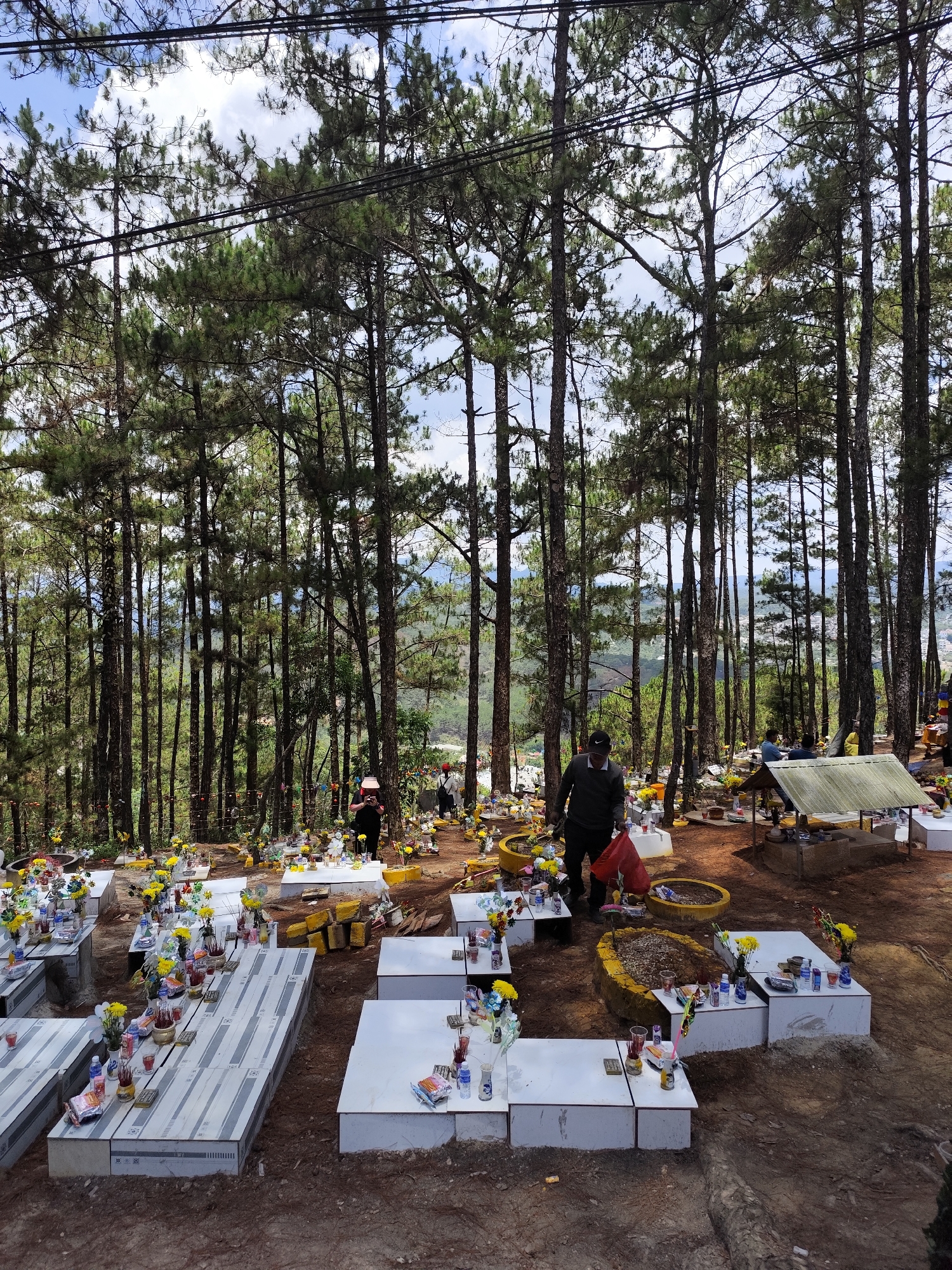 The image shows a cemetery in a wooded area, likely near or in the city of Xuân Thành, Vietnam. Numerous white tombstones, decorated with yellow flowers, food offerings, and incense, are scattered among tall pine trees. Several individuals are present: one wearing a face mask is carrying a red bag, while others are seen tending to the graves or standing in the background. The ground is covered in reddish-brown soil, typical of the region. Power lines are visible at the top of the image.