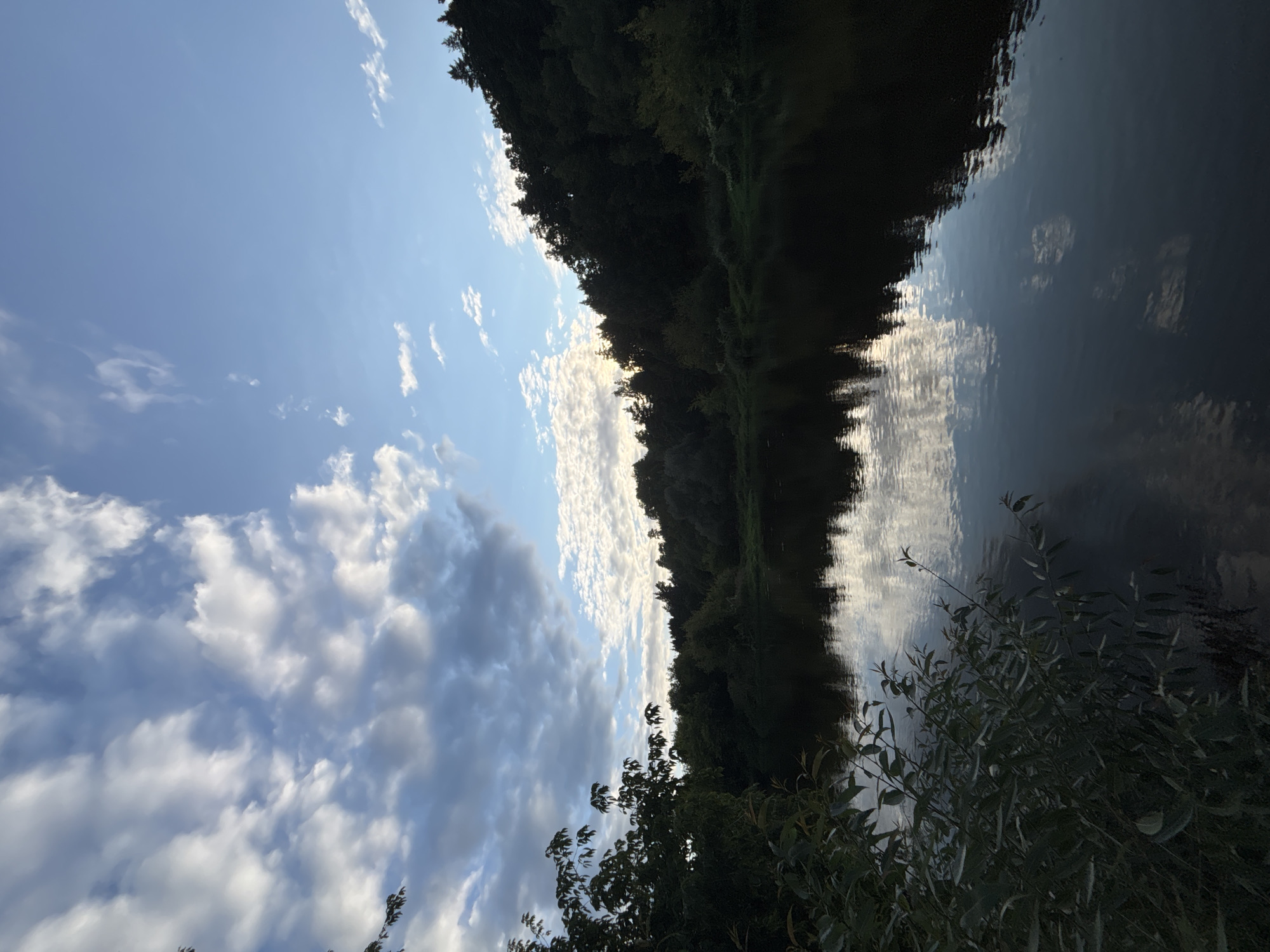 A serene river scene unfolds in Zvenigorod, Russia, under a sky painted with dynamic clouds. The water's surface, dark and still, mirrors the dramatic cloud formations and the silhouetted treeline that flanks the opposite bank. Lush, dark green foliage, likely trees and bushes, dominates the right side of the frame, creating a dense, natural border along the water's edge. In the foreground, on the left, a cluster of branches with green leaves extends into the frame, adding depth and a touch of organic texture. The light suggests either early morning or late evening, with the sun possibly breaking through the clouds, casting a soft glow. The overall impression is one of tranquility and natural beauty.