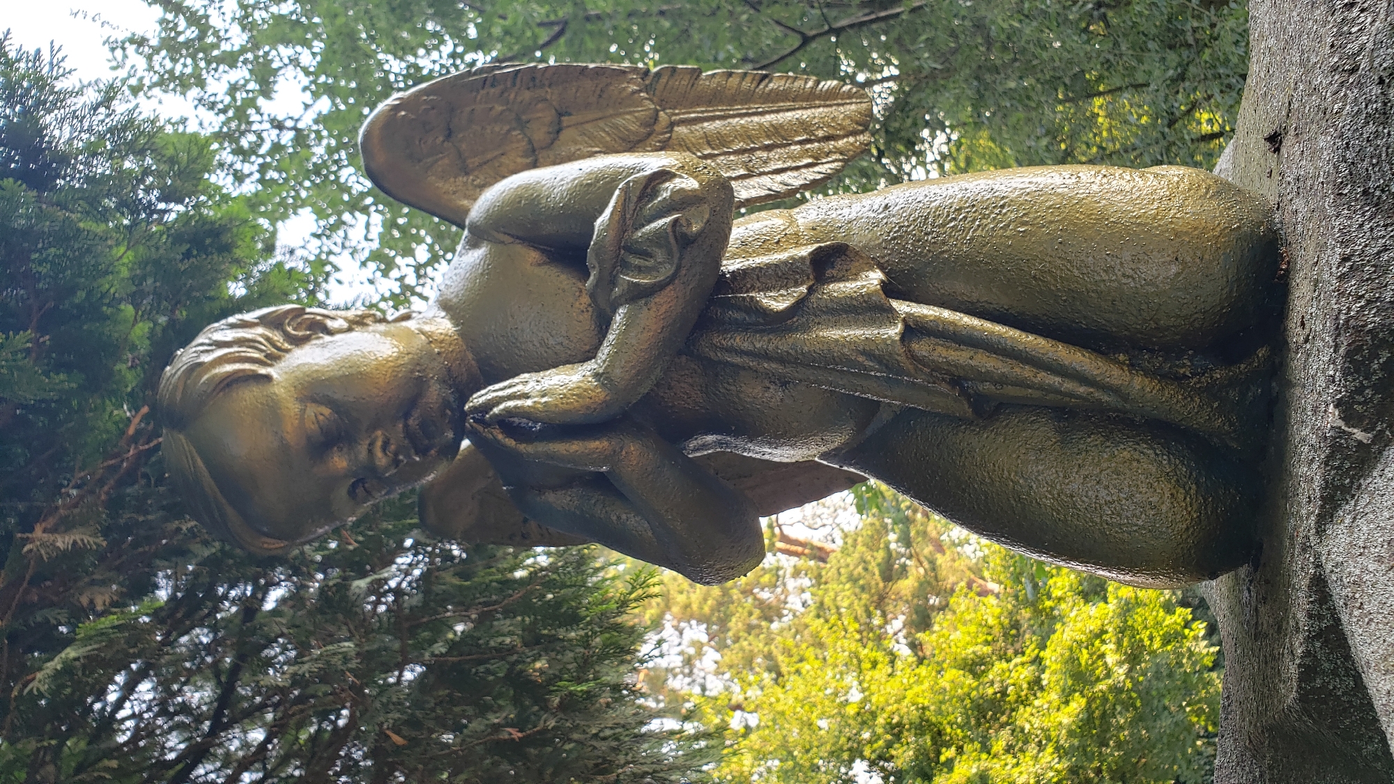 An outdoor, low-angle, medium shot shows a golden, weathered statue of a cherub kneeling on a rough, textured stone surface. The cherub, with its hands clasped in prayer and a piece of draped cloth in its lap, is positioned centrally. The statue is surrounded by lush green foliage, with the bright sunlight creating a dappled effect on the leaves and branches. The statue appears to be located in a cemetery or memorial garden. The specific location is not discernible from the image alone, but this type of statue is commonly found in memorial sites.