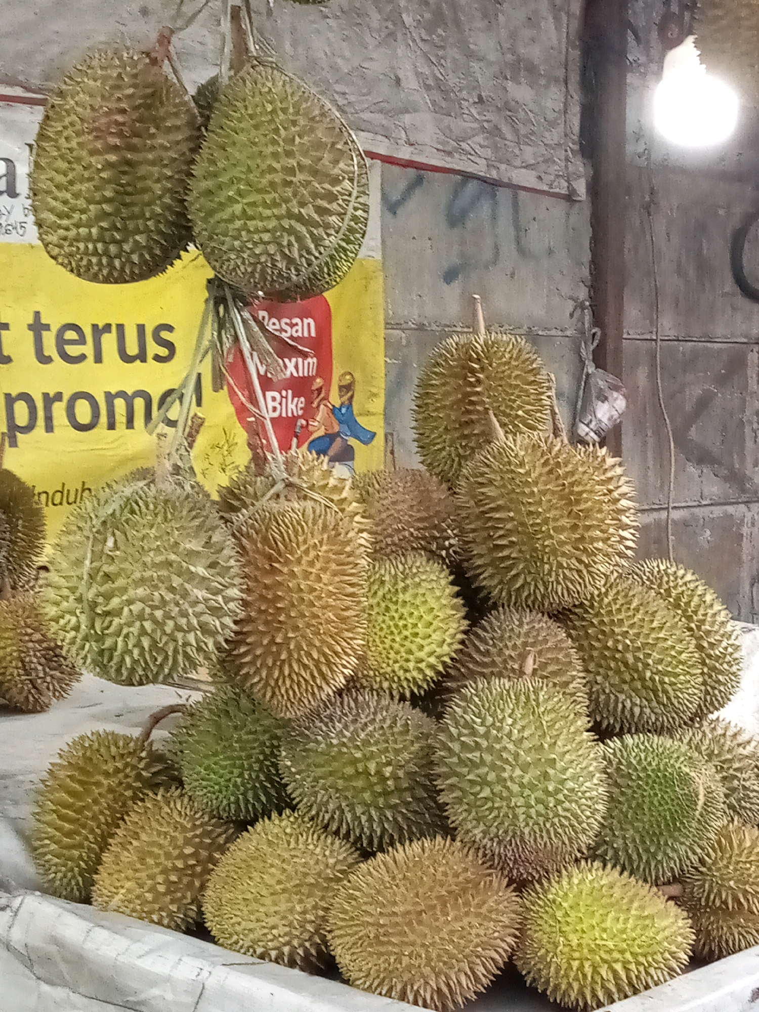 The image displays a pile of durian fruits for sale, likely at a roadside stall or a local market in Bekasi, Indonesia. Two durians hang from the top left, with their spiky green rinds clearly visible. Below them, a larger stack of durian fruits fills the frame, varying in color from light green to yellowish-brown. The fruits are arranged in an informal heap, with some resting on a white cloth that appears to be a stall covering. In the background, a yellow banner with Indonesian text, possibly advertising a promotion or a business name, is partially visible. To the right, a concrete wall and a wooden post suggest an outdoor or semi-outdoor setting, with a bright light bulb illuminating the scene from the upper right corner. The overall impression is that of a typical fruit vendor's setup in Indonesia.