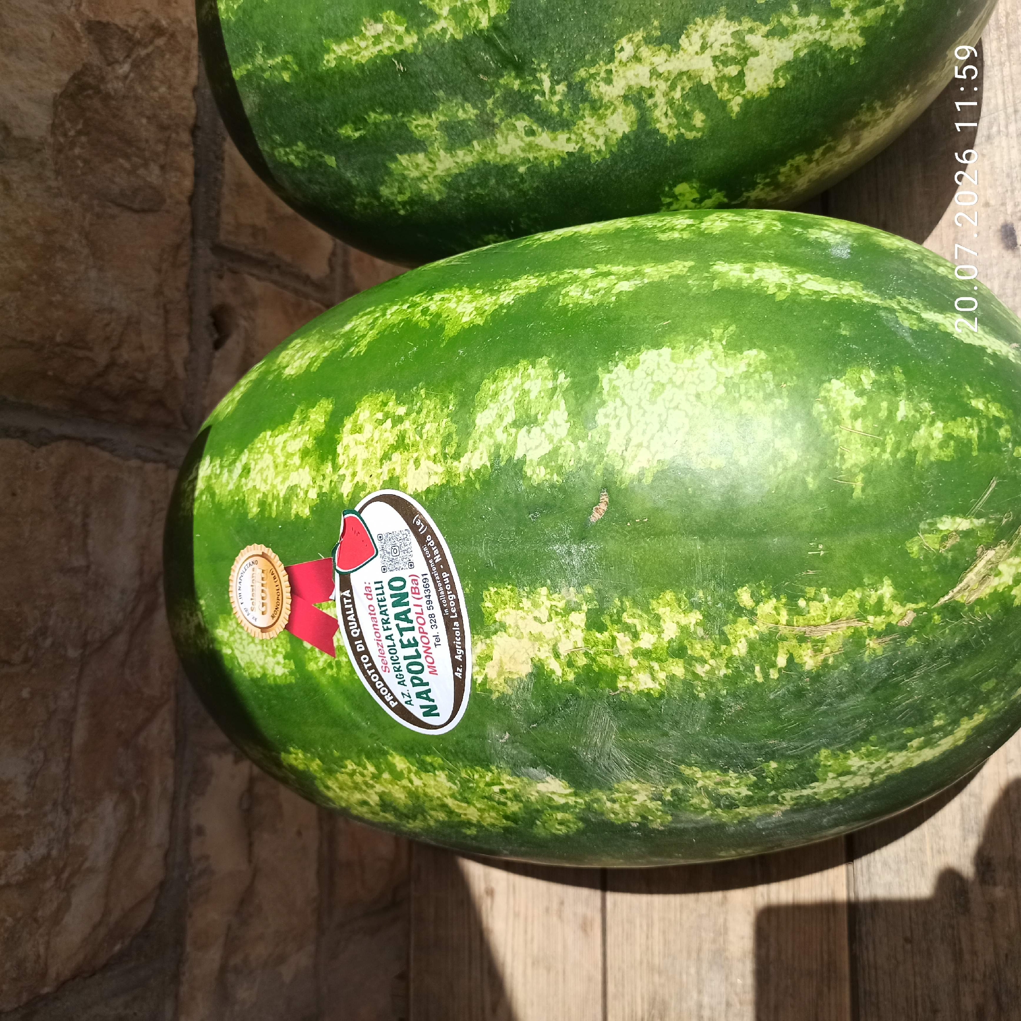The image shows two watermelons on a wooden surface in front of a brick wall. A label is affixed to the left watermelon, which reads "PRODOTTO DI QUALITA" and "Selezionato da: AZ. AGRICOLA FRATELLI NAPOLETANO MONOPOLI (Ba) Tel. 328 5943691 Az. Agricola Leogroup - Nardò (Le)". The watermelons appear to be in an outdoor setting, possibly a market or a farm stand. There are no people visible in the image. The timestamp "20.07.2026 11:59" is superimposed on the bottom right of the image. The location is described as Bitonto, Italy.