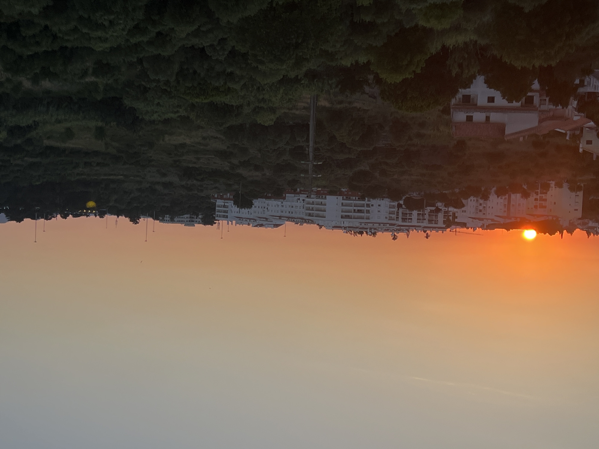 The image depicts a sunset over a residential area in Cascais, Portugal. The sun, a bright orange orb, is low on the horizon, casting a warm glow across the sky and illuminating the tops of buildings. In the foreground, a dense expanse of green trees covers a hillside. Scattered among the trees are a few residential buildings, including a prominent white house with a red-tiled roof. Further in the background, several larger, modern apartment buildings are visible, their white facades contrasting with the darkening sky. The overall scene is tranquil, with no people or animals present. The environment appears to be a mix of natural landscape and urban development.