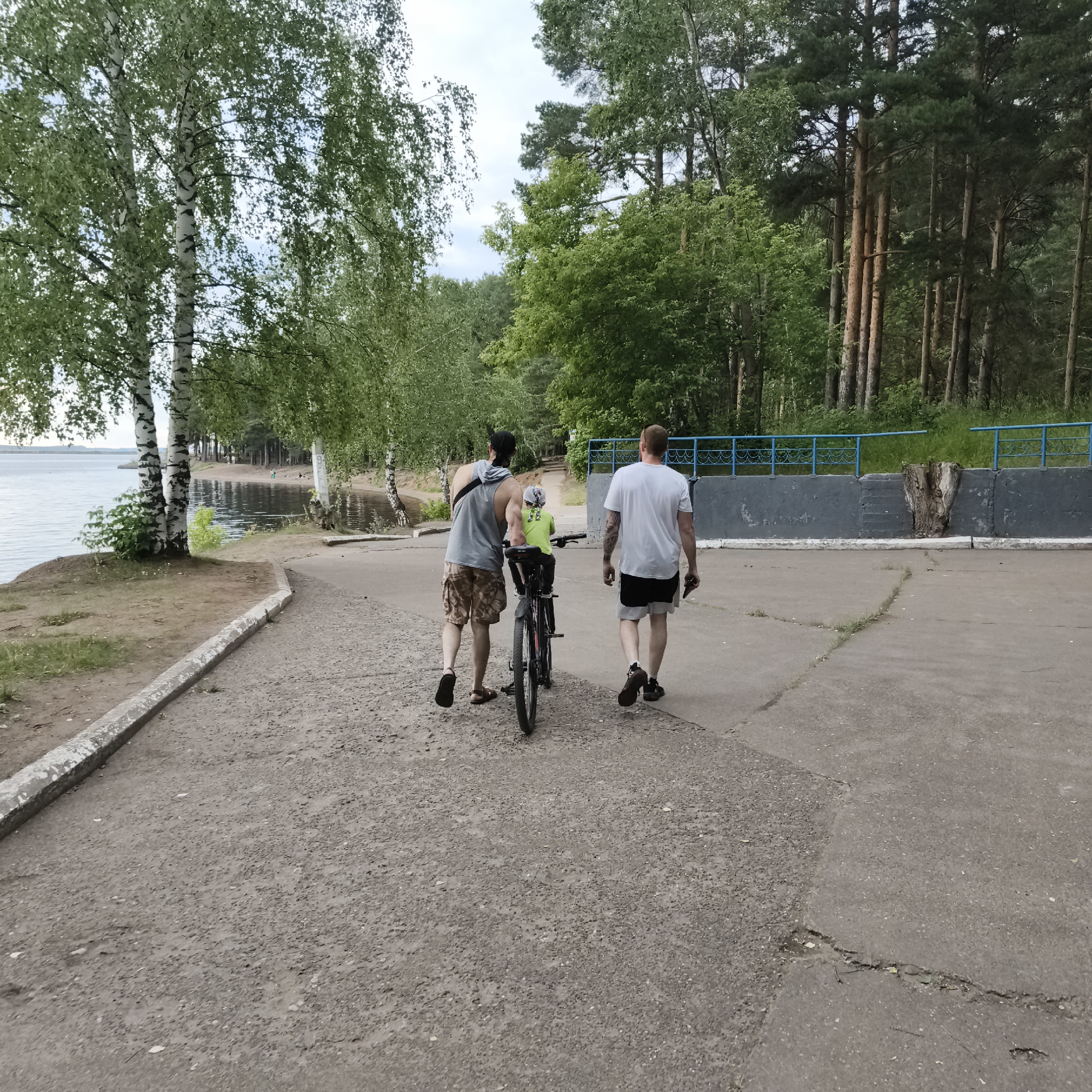 Two men and a child are walking on a paved path near a body of water, likely a lake or river, bordered by a forest. One man is pushing a bicycle with the child seated on it. The child is wearing a lime green shirt and a cap. The other man is walking ahead of them. The scene appears to be a recreational area, with a blue railing and a grey concrete structure in the background. The trees, primarily birch and pine, suggest a natural, possibly wooded environment. The sky is overcast, indicating a cloudy day. The path is made of concrete and shows some signs of wear and tear. The overall mood seems relaxed and casual, possibly a family outing or a leisurely stroll. There is no visible text in the image. The location context is Chaikovsky, Russia.