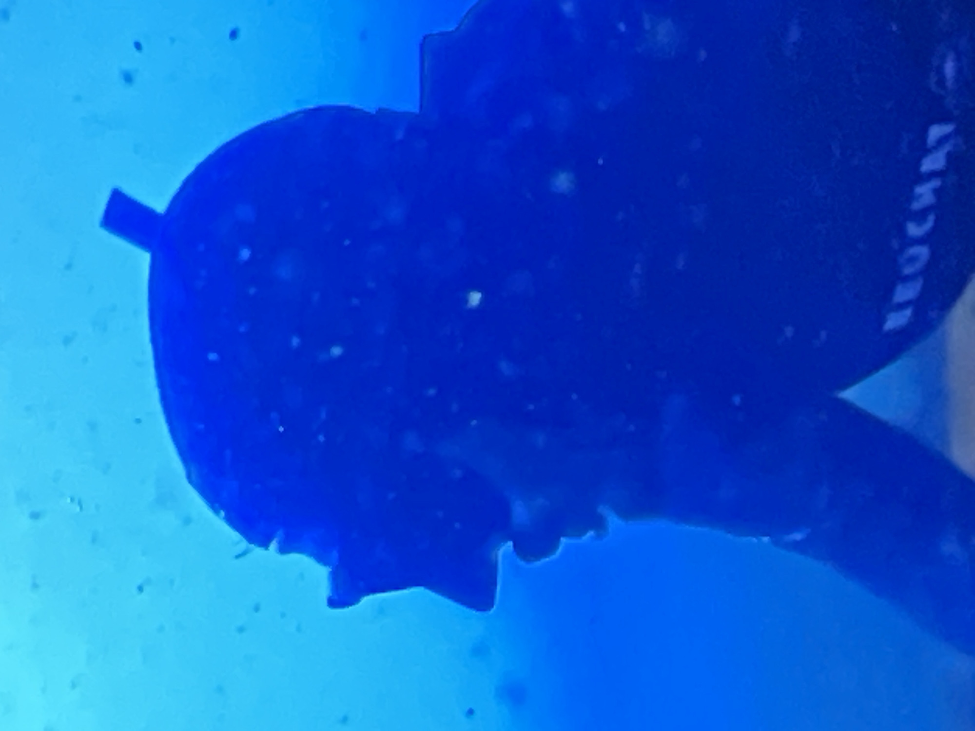 A person in a blue wetsuit and diving mask is underwater. The person's face is partially obscured by the mask and hood. The background is a blurry, light blue, suggesting an underwater environment. The word "NEOCHAT" is visible on the wetsuit. The image is cropped to show a profile view of the diver's head and upper body. There is no indication of the location being Casablanca, Morocco.