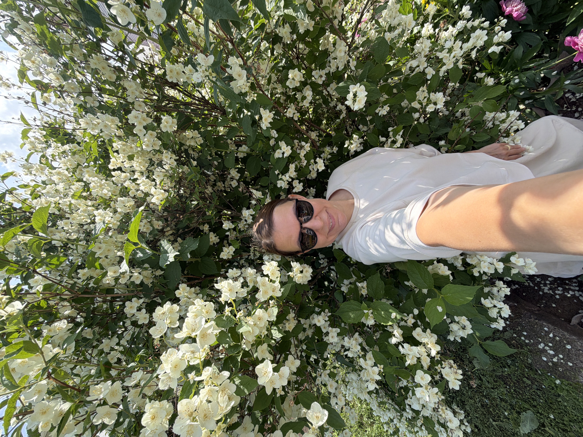 In Прикамский, Russia, a woman is captured in a close-up selfie, positioned in front of a lush, blooming white jasmine bush. She wears sunglasses and a light-colored top. The dense foliage and white flowers of the jasmine bush fill the background, with hints of green grass and a dark ground cover visible at the bottom. The lighting suggests it is daytime, likely outdoors.