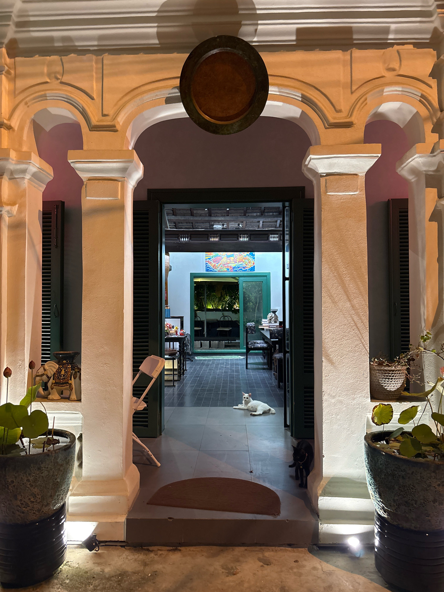 The image depicts the entrance to a building at night, illuminated by exterior lighting. The entrance features a grand, arched facade with ornate architectural details. Two large pillars flank the entryway. On the left side, a large potted plant with lotus pads is visible, and behind it, a decorative elephant figurine rests on a shelf. Inside the open doorway, the scene transitions to an interior space with tiled flooring. A white cat is resting on the floor near the entrance, and a black cat is walking into the interior. Further inside, a dining table with chairs is set up, and a colorful painting adorns the far wall. The overall ambiance suggests a residential or hospitality setting with a blend of traditional and modern elements. The provided information states the location as Nha Trang, Vietnam.