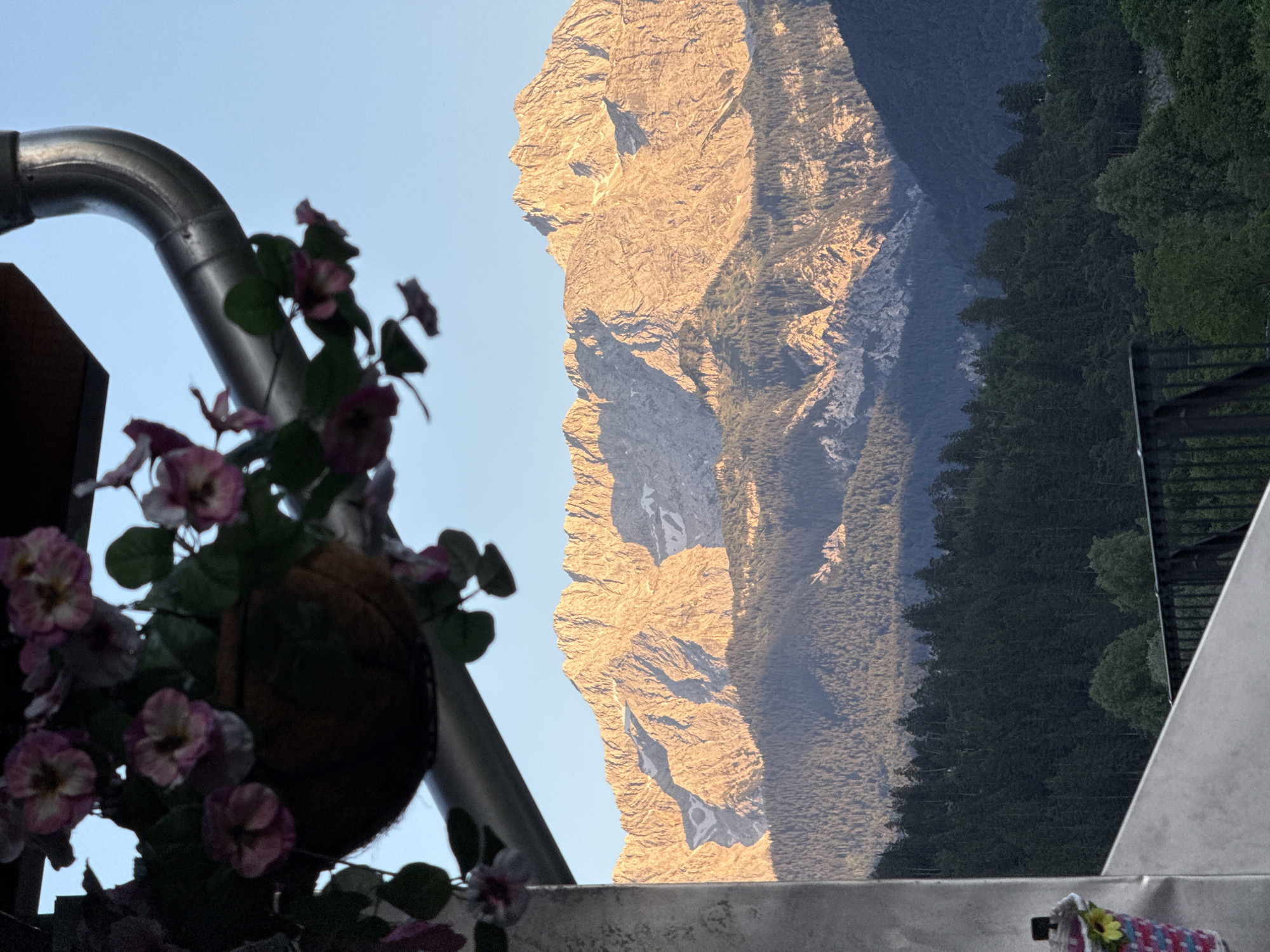 The image captures a picturesque view of the Bavarian Alps, likely from a vantage point in or near Garmisch-Partenkirchen, Germany. In the foreground, a hanging basket of artificial pink and white flowers is visible, partially obscuring a metallic downspout. The basket is suspended from a structure not fully in frame. Below, a dark metal railing suggests a balcony or terrace.
The mid-ground is dominated by a dense forest of dark green coniferous trees, blanketing the lower slopes of the mountains. Beyond the forest, the imposing peaks of the Alps rise, their rugged, rocky surfaces illuminated by the warm, golden light of what appears to be either sunrise or sunset. Patches of snow are visible in the shaded crevices and on higher elevations of the mountains. The sky above is a clear, soft blue, indicating fair weather. The overall scene evokes a sense of natural beauty and tranquility.
