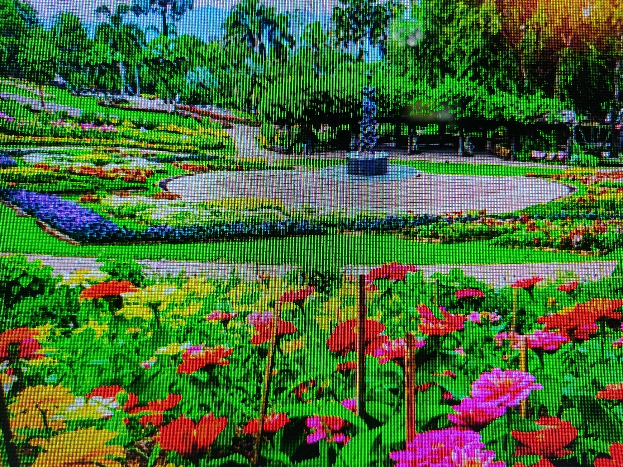 The image depicts a vibrant, meticulously landscaped park with a central fountain and surrounding flower beds. The park features winding pathways, lush green lawns, and a variety of colorful flowers in bloom, including purple, yellow, red, and pink varieties. In the background, mature trees and palm trees create a dense canopy. A statue stands atop the fountain, adding a decorative element to the scene. The overall impression is one of a well-maintained and aesthetically pleasing public space. There are no people visible in the image. The location is identified as Islampur, India.