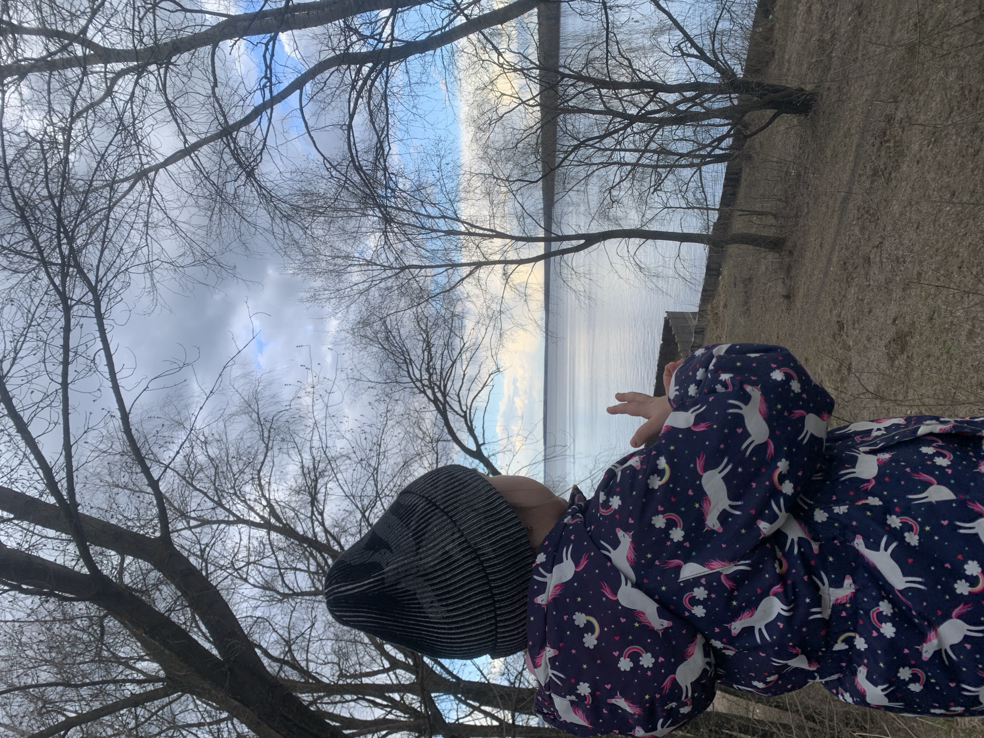 An outdoor scene in Chaikovsky, Russia, captures a child observing a large body of water under a partially overcast sky. The child is viewed from behind, wearing a dark, striped knit beanie and a dark blue jacket patterned with white unicorns, pink hearts, and colorful rainbows. One of the child's hands is slightly raised, seemingly gesturing towards the distant water.
The foreground and midground are framed by numerous bare-branched trees, suggesting late winter or early spring. The sky above is a mix of light blue and grey clouds. A wide expanse of calm water stretches into the distance, reflecting the sky's soft light. A subtle line of distant land or shoreline is visible across the water. The ground in the immediate vicinity is brown and appears dry. The scene conveys a quiet, observational moment in nature.