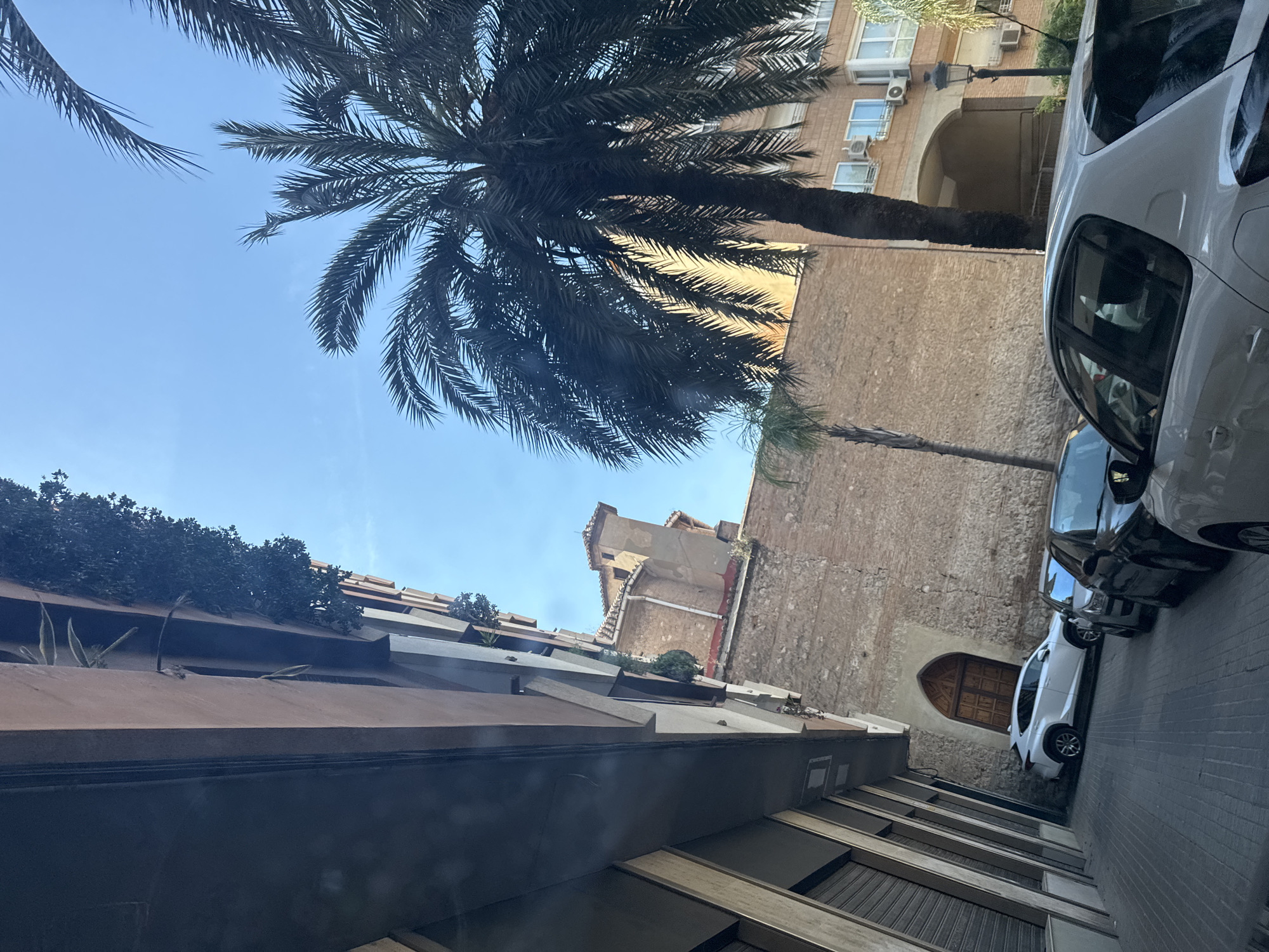 The image depicts an urban street scene in Valencia, Spain, under a clear blue sky on a bright day. A large, mature palm tree with dark, dense fronds fills a significant portion of the upper frame, its trunk running vertically. To the right, a historic-looking building with a textured light-brown stone wall features a prominent dark wooden arched doorway. Several cars are parked along this side of the street, including a white sedan prominently in the mid-ground, followed by a black car and a blue car. The street itself appears paved, with sections of brick or cobblestone.
On the left side of the street, a multi-story building with modern, dark-colored facades and horizontal architectural details is visible. The upper ledges of this building are adorned with various green plants, including bushes and what appear to be succulents. In the background, behind the large stone wall and palm tree, another older building with an ochre-colored facade and a small tower-like structure can be seen. Sunlight illuminates the scene, indicating daytime, with clear shadows suggesting the position of the sun. No visible text is legible within the image.