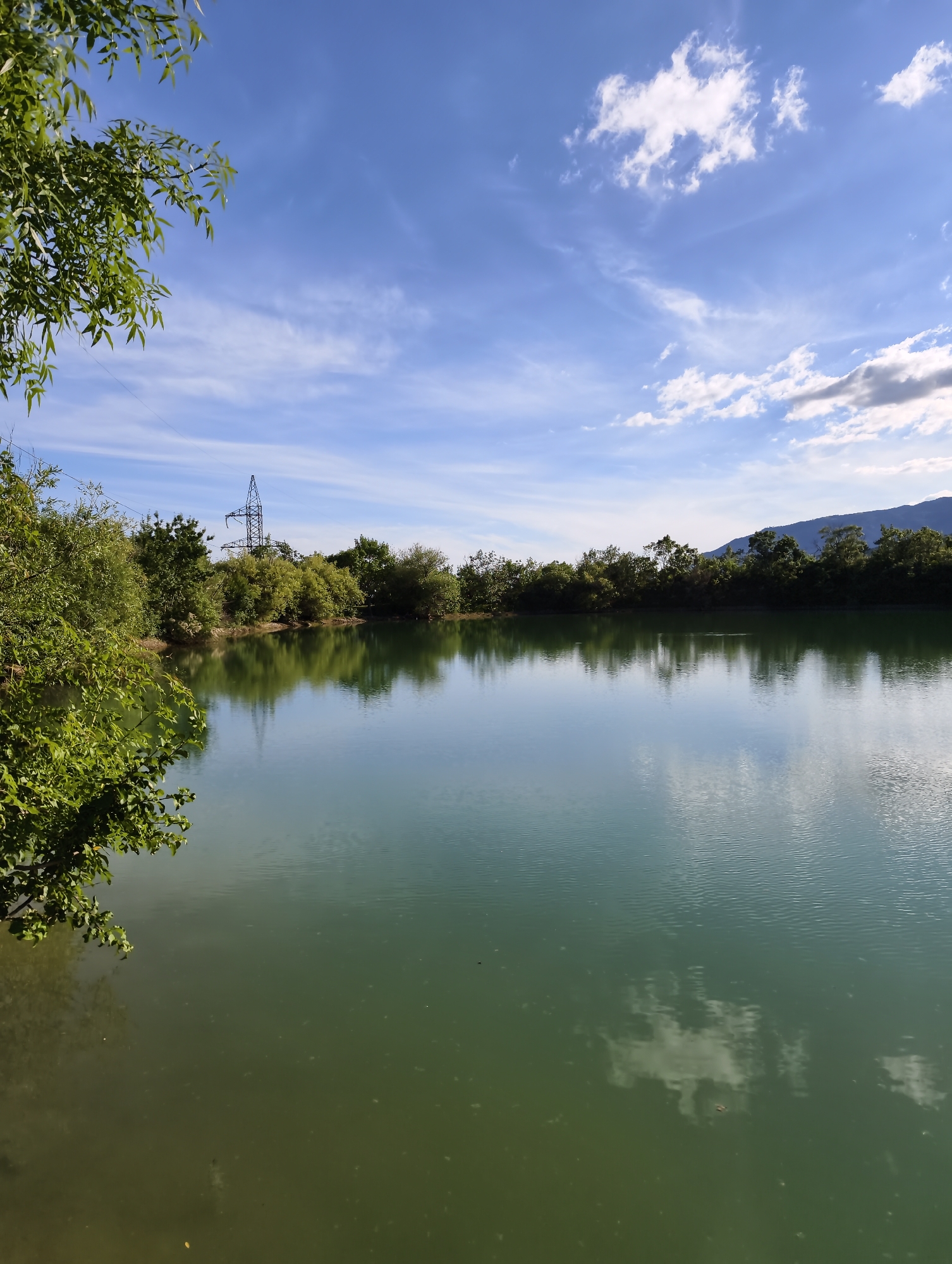 The image depicts a serene, natural landscape featuring a tranquil body of water reflecting the sky and surrounding trees. On the left side of the frame, lush green foliage hangs over the edge of the water, partially obscuring the view of the bank. The water itself is a calm, greenish-blue hue, with subtle ripples on its surface. Across the water, a dense line of trees forms the far bank, their reflections clearly visible in the water. Beyond the trees, a tall, dark electrical pylon stands out against the blue sky, with a few wispy white clouds scattered across it. In the distance, a range of muted, blue-green mountains forms the horizon. The overall impression is one of peaceful seclusion, likely a natural setting within or near Kiparisnoe, Ukraine. There are no people or discernible actions occurring in the scene.