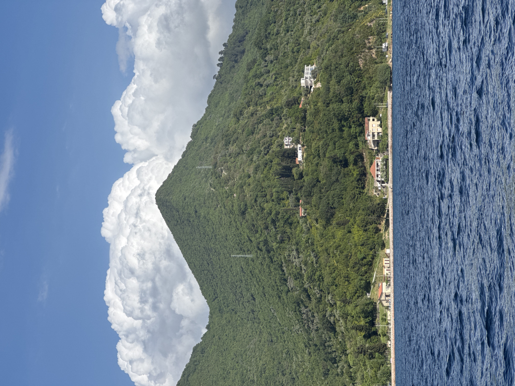 The image depicts a landscape featuring a steep, green, tree-covered mountain bordering the blue waters of a sea or large lake. Along the shoreline, there are several houses and buildings interspersed among the trees. Power lines stretch up the mountainside. To the left of the mountain, large white clouds contrast with a blue sky. The scene is likely near Đurići, Montenegro, given the location request.