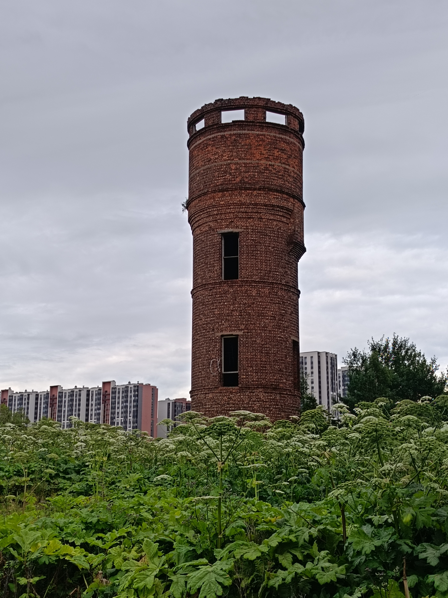 A tall, cylindrical brick tower stands in the foreground against a cloudy sky. The tower has a weathered appearance with visible brickwork and several dark, rectangular openings that appear to be windows. The top of the tower is crenellated, resembling a castle battlement. In front of the tower, a dense growth of large-leaved green plants with clusters of white flowers fills the lower half of the frame. In the background, beyond the plants and the tower, a row of modern, multi-story apartment buildings is visible. The scene suggests an urban or semi-urban environment where an older industrial structure is surrounded by newer development and overgrown vegetation. This tower is likely part of the historic Krenberg brewery complex in St. Petersburg, Russia, which is known for its unique brick architecture and is situated near residential areas.
