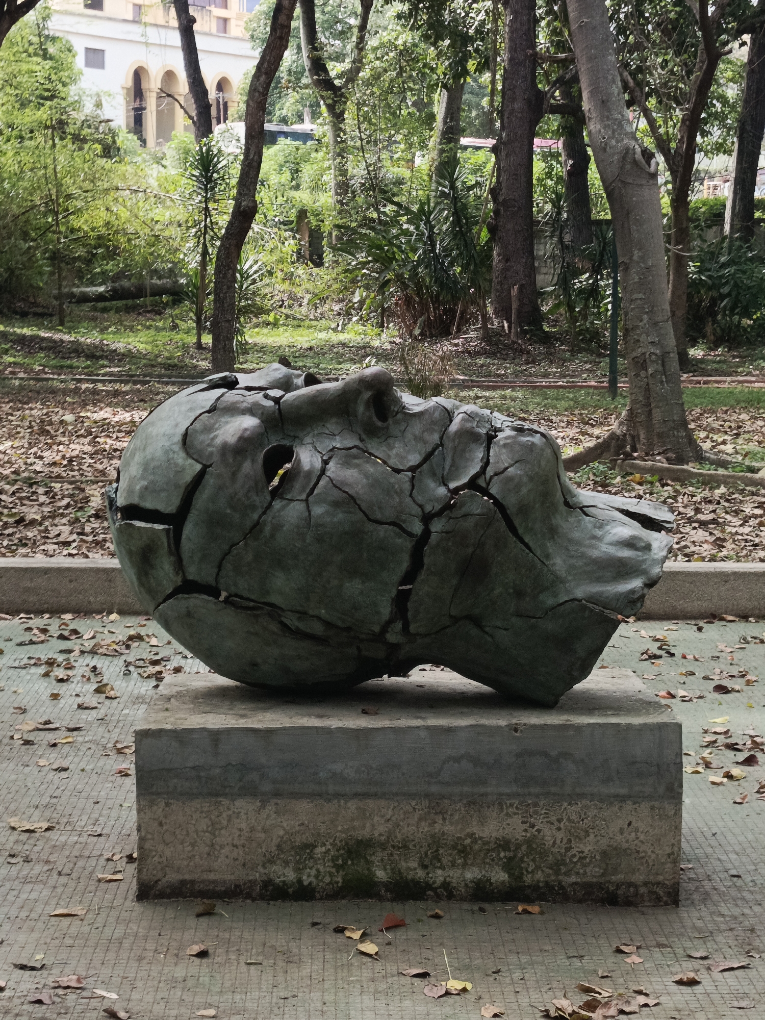 A large, dark, fragmented sculpture of a human head rests on its side atop a rectangular grey concrete pedestal. The sculpture, possibly made of metal with a weathered green-brown patina, displays numerous deep cracks and fissures across its surface, giving it a distressed and broken appearance.
The sculpture is situated outdoors in what appears to be a park or heavily wooded area. The ground around it consists of light grey, gridded paving, lightly scattered with dry, brown leaves. Beyond the sculpture, a dense array of trees with green foliage forms the background, suggesting a lush, verdant environment. In the upper left, partially obscured by trees, a light-colored building with distinctive arched windows or doorways is visible.
The scene is well-lit by natural daylight, indicating clear weather. The lighting suggests it is daytime, likely late morning or early afternoon. No specific activity is depicted, presenting a static image of public art within a natural setting. The combination of lush greenery and architectural elements, along with the style of the building, is consistent with a location such as Caracas, Venezuela. No visible text is present in the image.