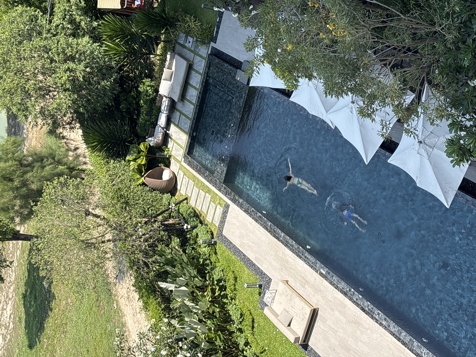 Aerial view of a rectangular swimming pool with dark water, surrounded by landscaping and lounge areas, likely in a resort or private residence in Choeng Thale, Thailand. Two people are swimming in the pool; one person in the upper right corner, and one person closer to the center. Along the left side of the pool is a stone walkway with green grass sections, a wicker chair, and lush vegetation. Adjacent to the upper end of the pool is a set of lounge chairs with light colored cushions. White sun umbrellas are situated along the upper right side of the pool, partially obscured by tree branches. Beyond the vegetation on the left is a sandy area.