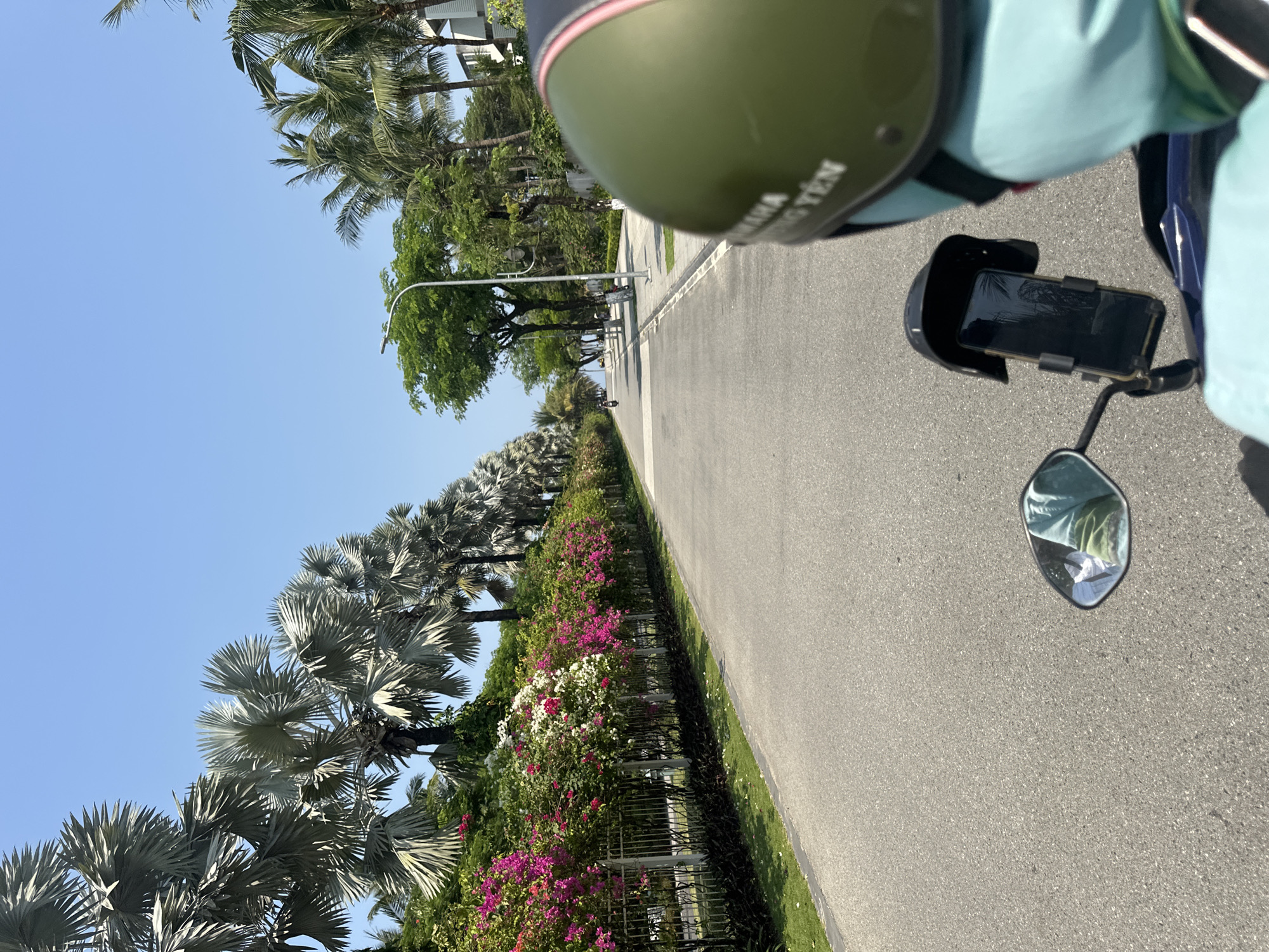 A first-person, ground-level shot from a moving vehicle on a road in Đà Nẵng, Vietnam. The road is lined with a flower-covered fence on one side and trees and buildings in the distance. A helmet, rearview mirror, and phone in a mount are in the foreground. The sky is clear and blue.
