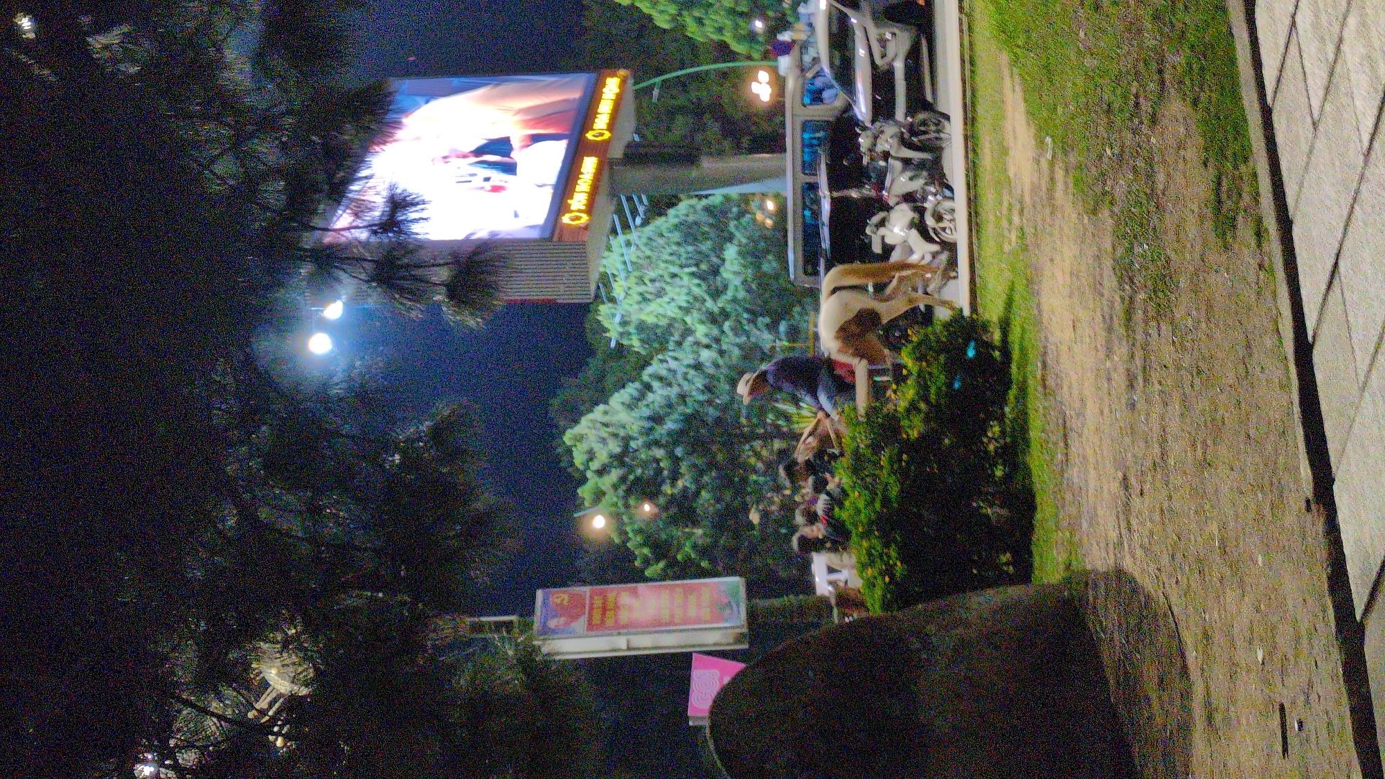 The image shows a horse-drawn carriage with a person in a hat on horseback, likely a tourist attraction, on a street at night in Da Lat, Vietnam. A large digital billboard is visible in the background, displaying advertisements or information. Several people are gathered around the carriage. The scene is illuminated by streetlights and the glow from the billboard. There are vehicles, including motorcycles and a car, parked or driving on the street. The area appears to be a public space with trees and vegetation.