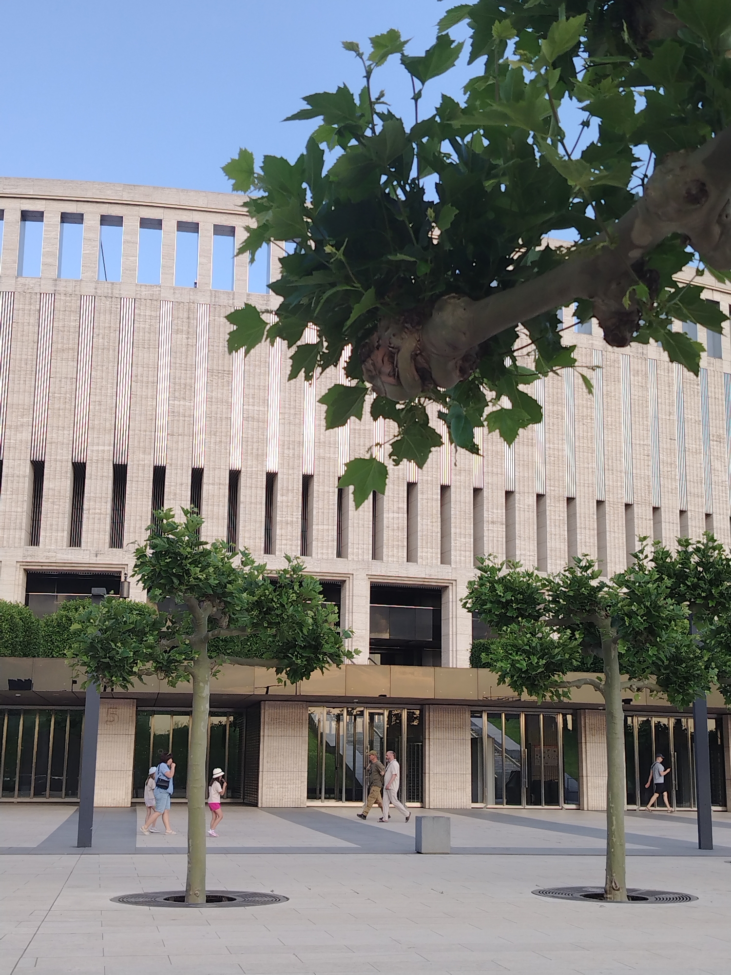 A building with a patterned facade and rectangular openings is visible in the background, partially obscured by trees with green foliage and thick branches in the foreground and midground. The building has a modern architectural style with vertical elements and horizontal bands of openings. In front of the building, there are several people walking on a paved area. Two trees with rounded canopies are planted in the paved area. The sky is clear and blue. The scene appears to be an outdoor public space, possibly a plaza or park, adjacent to a building. The location is the Krasnodar State Historical and Archaeological Museum-Reserve named after E.D. Felitsyn, located in Krasnodar, Russia.