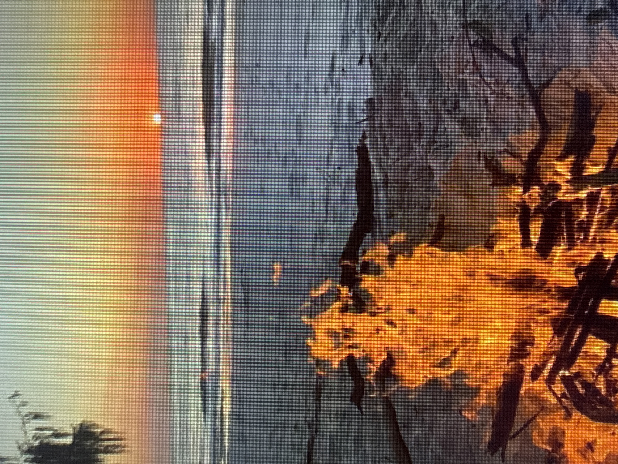 A campfire burns on a sandy beach at sunset. The sun is a small, bright orange orb on the horizon, casting a warm glow across the sky and the ocean. The waves gently lap at the shore, and driftwood is scattered across the sand. The fire is a vibrant display of orange and yellow flames, with dark branches peeking through. In the upper left corner, the silhouette of a tree hangs over the scene. The overall impression is one of peace and tranquility.