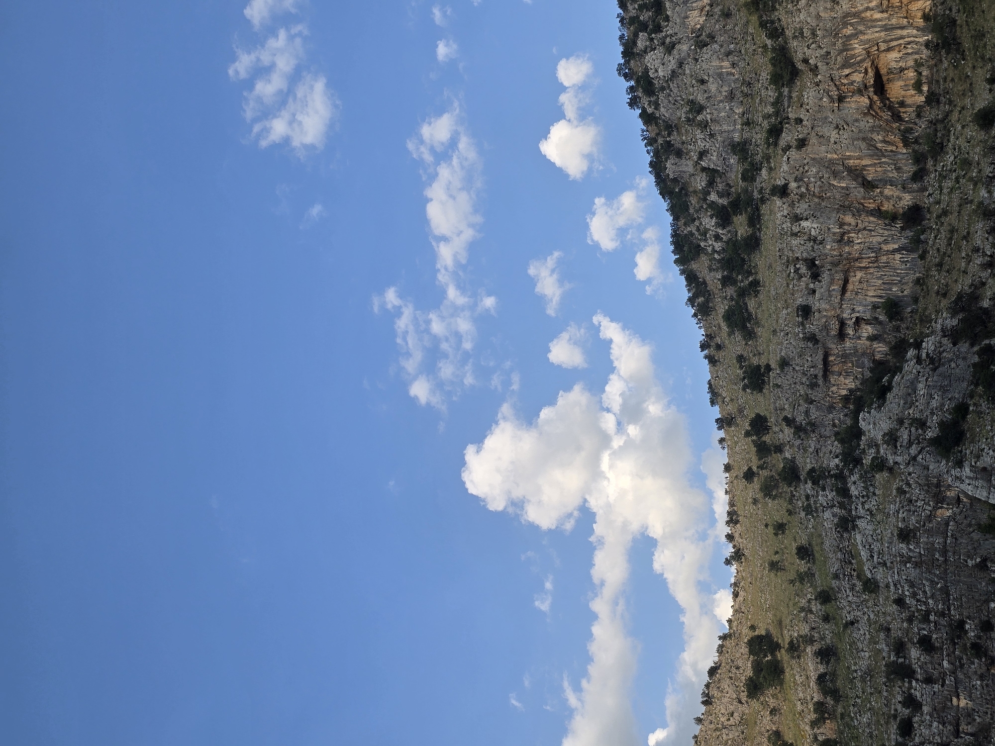 The image shows a rocky mountain slope under a bright blue sky with scattered white clouds. The mountain is covered with sparse vegetation, including small trees and bushes. The rocks are varied in color, from gray to brown and reddish-orange, indicating different geological formations. The texture of the rocks is rough and irregular, with some areas appearing weathered and eroded. The vegetation is darker green and appears to be adapted to the arid conditions. The sky is clear and vast, with a few fluffy clouds scattered across it. The lighting suggests it is daytime, possibly late afternoon, as some parts of the mountain are illuminated by sunlight, creating shadows and highlighting the textures. The scene is a natural landscape, devoid of any man-made structures or human presence.