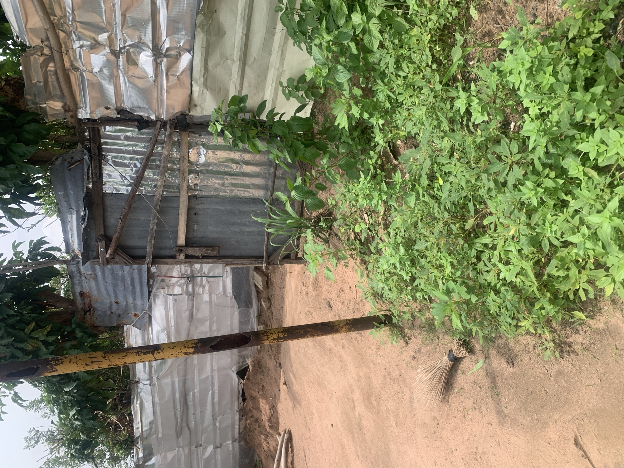 A dirt path is visible in the foreground, with a broom lying on its side. A tall, yellow-painted metal pole stands to the left, partially obscuring a corrugated metal fence and a wooden gate. Lush green vegetation grows in front of the fence and gate. In the background, trees with green leaves are visible above the fence. The scene appears to be an outdoor area in Jalingo, Nigeria.