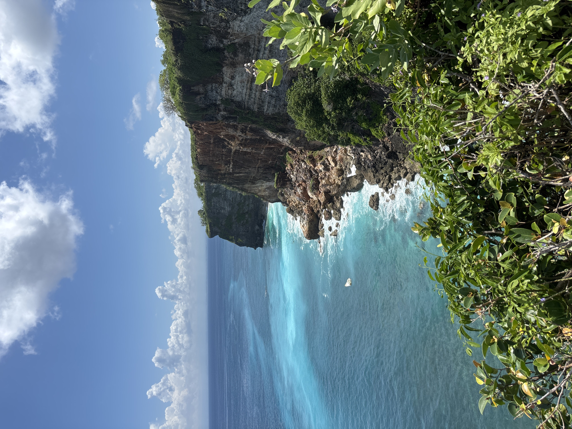 A vertical, medium shot depicts a coastal scene, likely the Uluwatu region of Indonesia. A tall, layered cliff with reddish-brown rock formations and green vegetation dominates the upper portion. The cliff extends into a turquoise ocean, where waves crash against the rocky base.
The lower half of the image features a vast expanse of the ocean, transitioning from a darker blue in the distance to a lighter turquoise near the cliff, reflecting sunlight. Patches of light and dark hues indicate varying depths or underwater formations.
Green foliage frames the right side of the image, adding depth and suggesting an elevated perspective. White clouds punctuate the clear blue sky on the left side. The scene conveys a sense of natural beauty and coastal erosion.