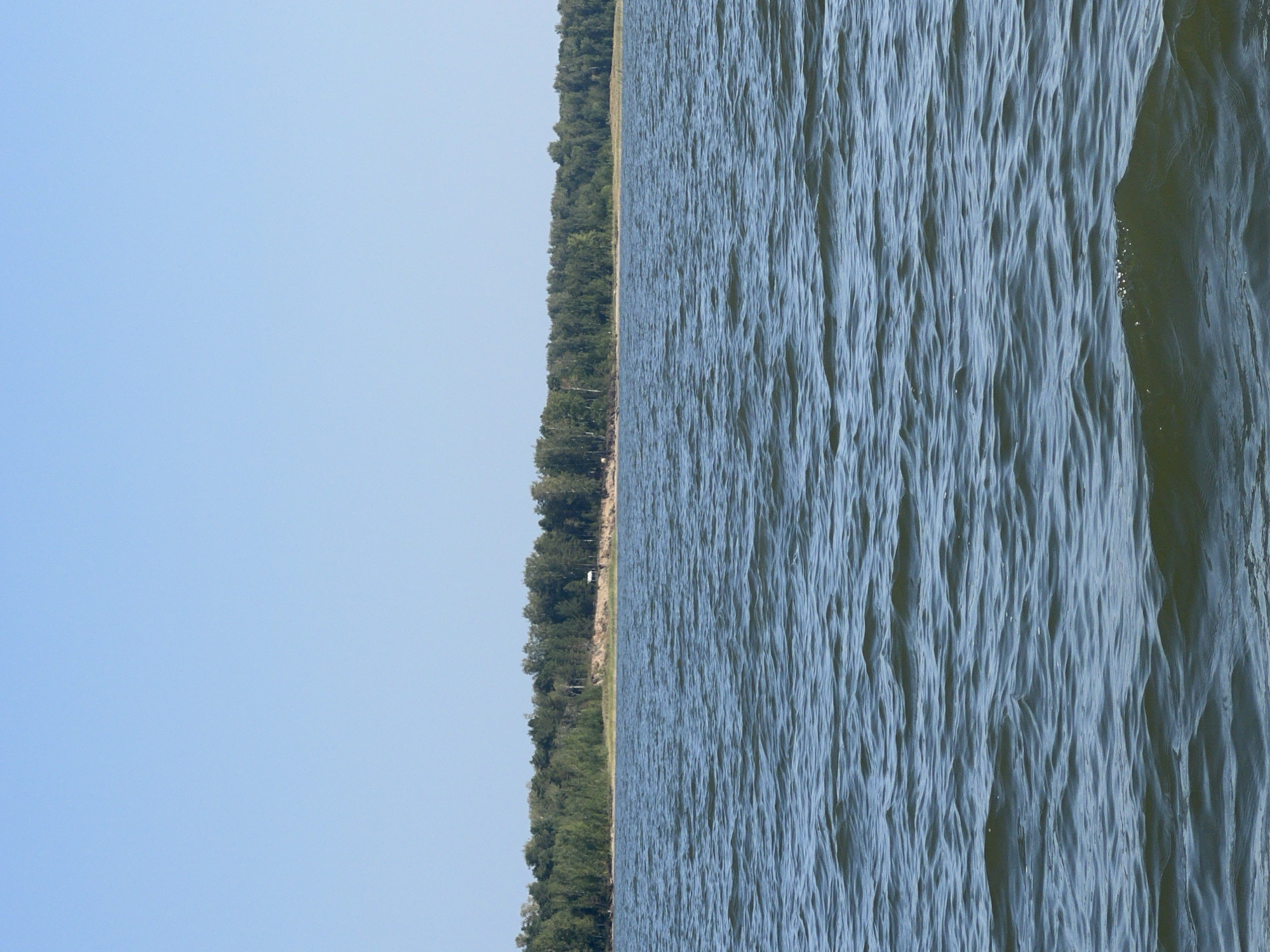The image shows a body of water with a tree-lined shore in the background. The sky is clear and blue. There is a small, white structure visible on the shore amidst the trees. The water is choppy with small waves. This scene is typical of the natural landscape surrounding Borovoye, Russia, a resort town known for its lakes and forests.