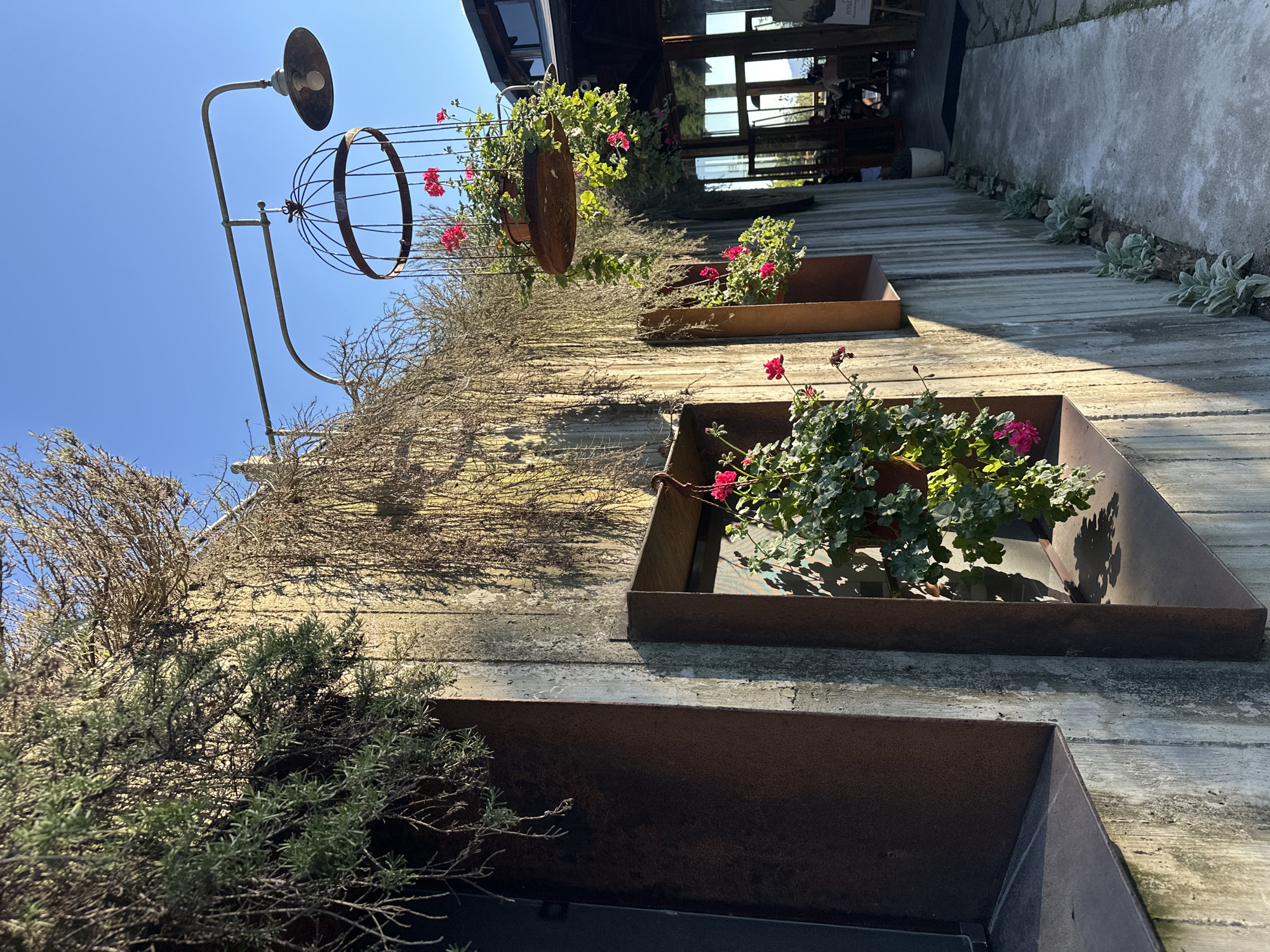 The image captures an exterior view of a building with a textured concrete facade, adorned with hanging plants and rustic metal accents. A metal birdcage, also housing plants with bright pink flowers, hangs suspended from a curved metal arm that also supports a vintage-style lamp. Several window openings are visible, framed with weathered metal, each containing potted plants with pink flowers. The building's exterior is partially covered by a dense growth of dry, vine-like vegetation. To the right, a pathway of concrete slabs leads towards an open-air seating area of a restaurant, where a few patrons are seated at tables. The scene is illuminated by the warm light of a clear, blue sky.