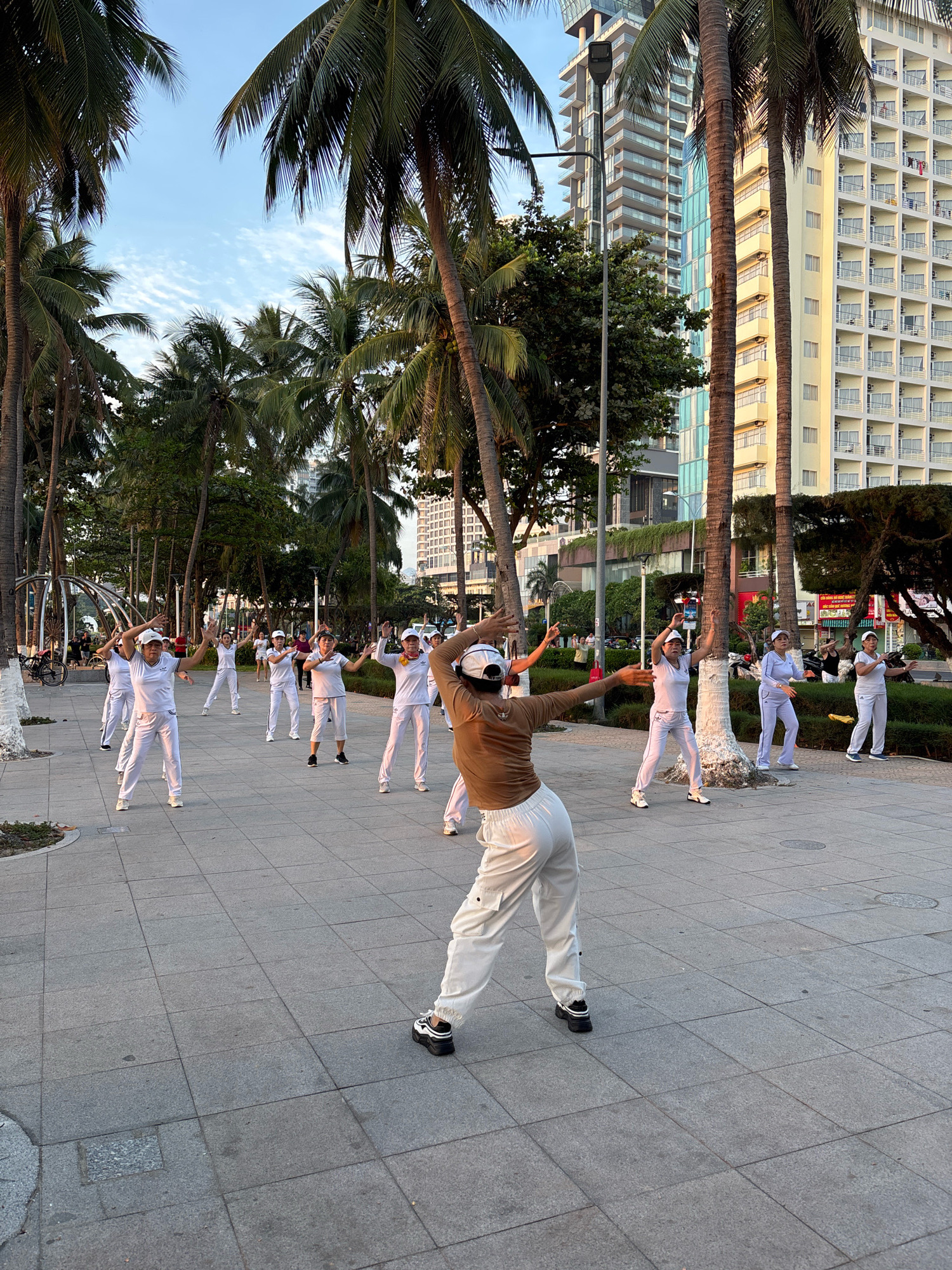 In Nha Trang, Vietnam, a group of individuals, predominantly women, engage in a coordinated outdoor exercise routine on a tiled pathway. They are dressed in white athletic attire, including pants and shirts, and some wear white caps. The central figure in the foreground, viewed from the back, wears a brown top and white pants. The setting is a park-like area with numerous tall palm trees lining the path. In the background, modern high-rise buildings, characteristic of a city environment, are visible. The sky is partly cloudy with a soft, natural light indicating it is either early morning or late afternoon. The individuals are positioned in a scattered formation, facing generally in the same direction and performing arm movements consistent with calisthenics or Tai Chi. The ground is paved with large, square gray tiles, and there is greenery and shrubs surrounding the paved area.