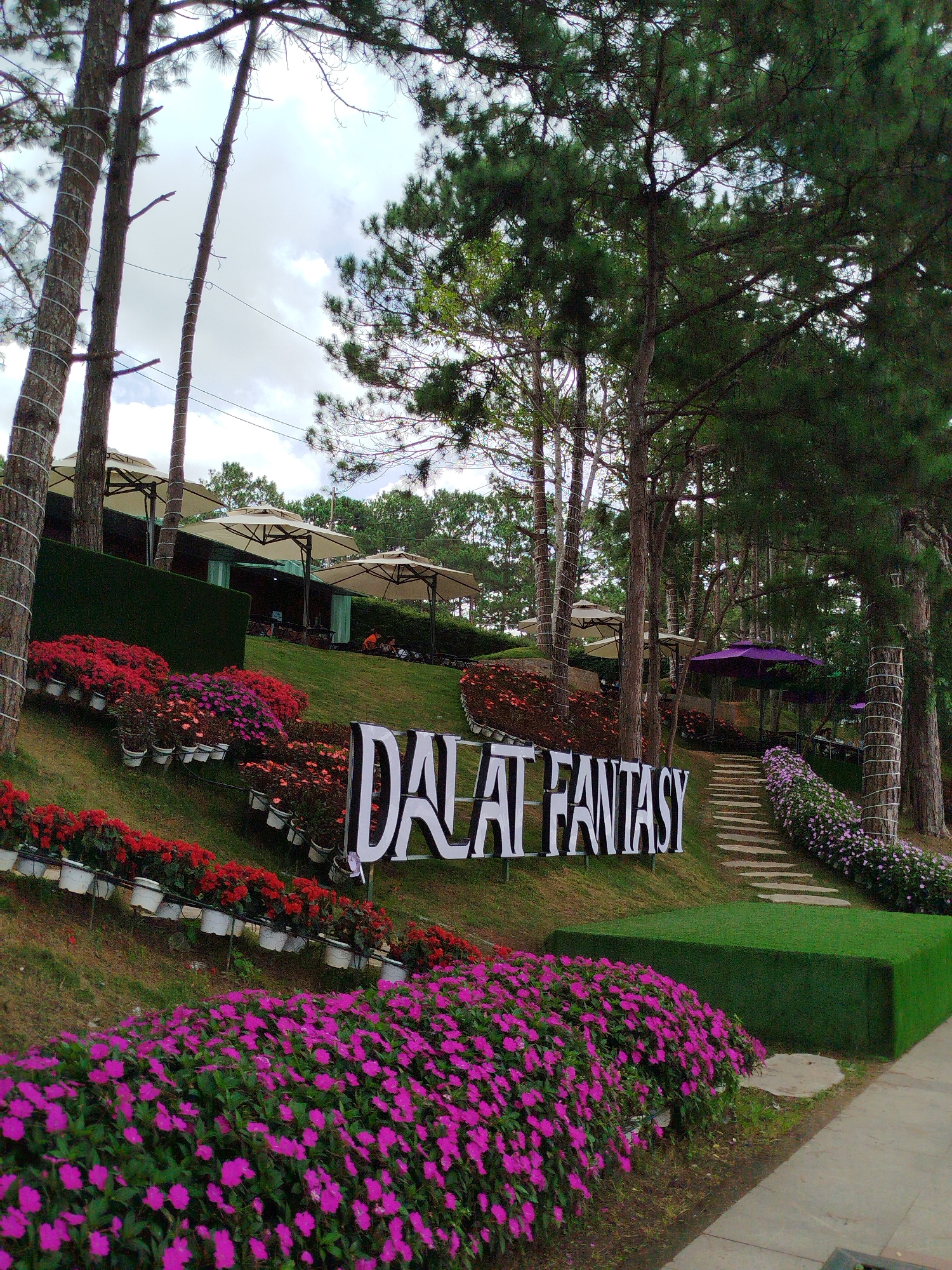 The image depicts the exterior of a cafe or attraction in Da Lat, Vietnam, with a prominent sign reading "DALAT FANTASY" in large white letters. The scene is characterized by lush greenery, extensive floral displays, and tall pine trees. In the foreground, vibrant pink and red flowers are arranged in tiered planters. Behind the planters and the sign, a grassy slope leads up to an area with several outdoor seating sections, each shaded by large cream-colored umbrellas. Further up the slope, there are purple umbrellas and stone steps ascending to a higher level. The environment suggests a well-maintained, picturesque outdoor space designed for relaxation and enjoyment. The sky is overcast. No people are clearly visible in the immediate vicinity of the sign.