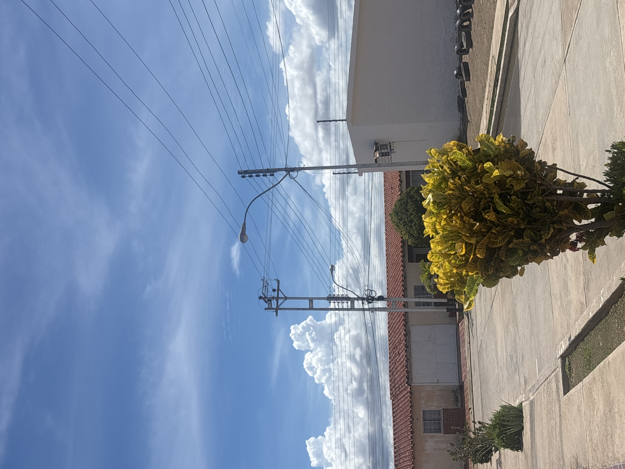 A medium shot captures a clear, bright sky with scattered white clouds. Multiple power lines stretch across the frame, converging towards utility poles. In the foreground, a vibrant, leafy plant with yellow and green foliage stands prominently. Behind it, a paved area with concrete slabs suggests a street or walkway. Further back, a single-story building with a terracotta tiled roof is visible, featuring windows and a large garage door. To the right, another building, stark white and flat-roofed, is partially obscured by the power lines and foliage. The ground area near the white building appears to be unpaved, with several car tires laid out horizontally. The overall scene depicts a residential or semi-urban environment under a sunny sky.