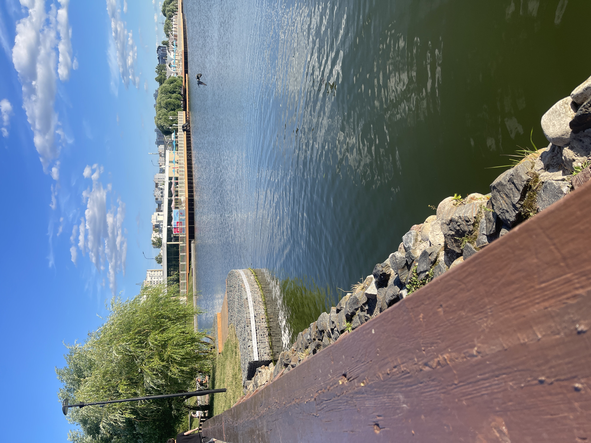 This is a vertical, eye-level shot of a waterside scene in Moscow, Russia on a sunny day. The foreground features a brown wooden surface, possibly a bench or railing, with visible grain and imperfections. Beyond this, a rocky embankment leads to a calm, green body of water. A circular structure, appearing to be a gabion wall filled with stones, is partially submerged at the water's edge. In the middle distance, a lush green tree with long, flowing branches dominates the left side of the frame, with a lamppost positioned in front of it. Across the water, a modern waterfront promenade is visible, lined with buildings and a long, dark structure. Two birds are in flight over the water, and a few people are seated on the grass near the tree. The sky is a vibrant blue, punctuated by fluffy white clouds. The overall mood is serene and peaceful, suggesting a pleasant day outdoors. There is no visible text in the image.