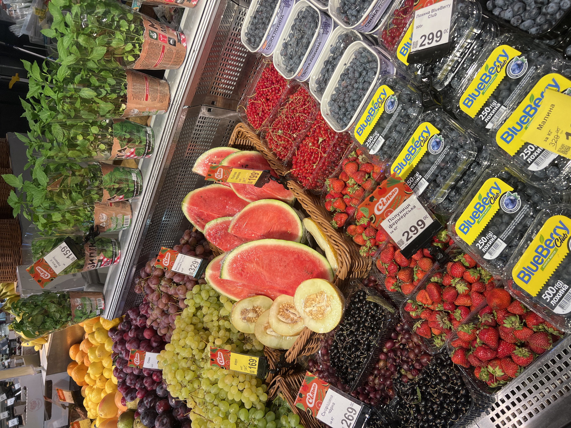 This image depicts a vibrant display of fresh fruits and herbs for sale at a supermarket in Odesa, Ukraine. The scene is an eye-level shot focusing on a refrigerated produce section. Prominently featured are various types of grapes, including green and purple varieties, piled high in woven baskets. Sliced watermelons and cantaloupes are also visible, their bright colors contrasting with the darker berries. In the foreground, plastic containers overflow with plump blueberries and smaller red currants, alongside containers of strawberries. To the left, dark black currants and gooseberries are arranged. Behind the fruits, several potted mint plants are displayed in clear plastic packaging, each adorned with price tags. The environment appears to be a well-lit indoor market, likely a grocery store or a dedicated produce vendor, with visible shelving and signage in Ukrainian. The overall impression is one of abundance and freshness, characteristic of a busy marketplace.