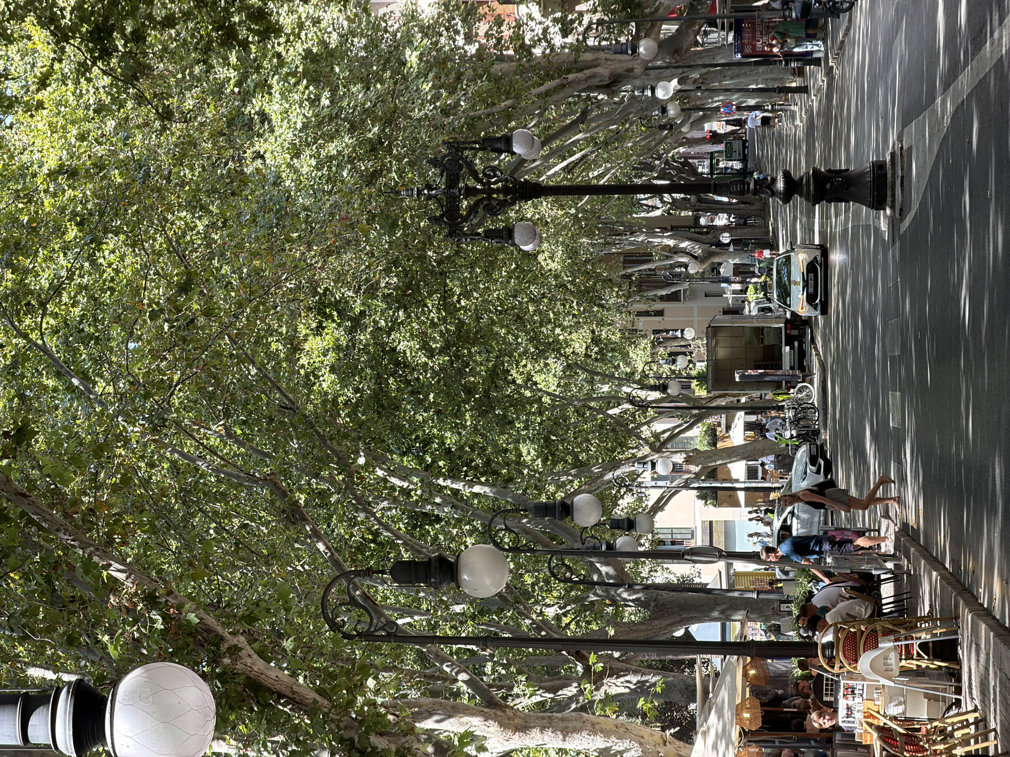 This is a vertical, eye-level, medium shot of a tree-lined street in Palma, Spain, on a sunny day. The street is paved, and trees with full canopies are planted along both sides, creating a shaded avenue. Ornate lampposts with globe-shaped lights are spaced along the sidewalk. The sidewalk on the left is lined with tables and chairs belonging to outdoor cafes, with people seated and dining. Several pedestrians are walking along the sidewalk and crossing the street. A white car is driving down the street, and a delivery truck is parked on the right side. Buildings with windows and balconies are visible in the background. The overall atmosphere is one of a vibrant, urban European street scene.