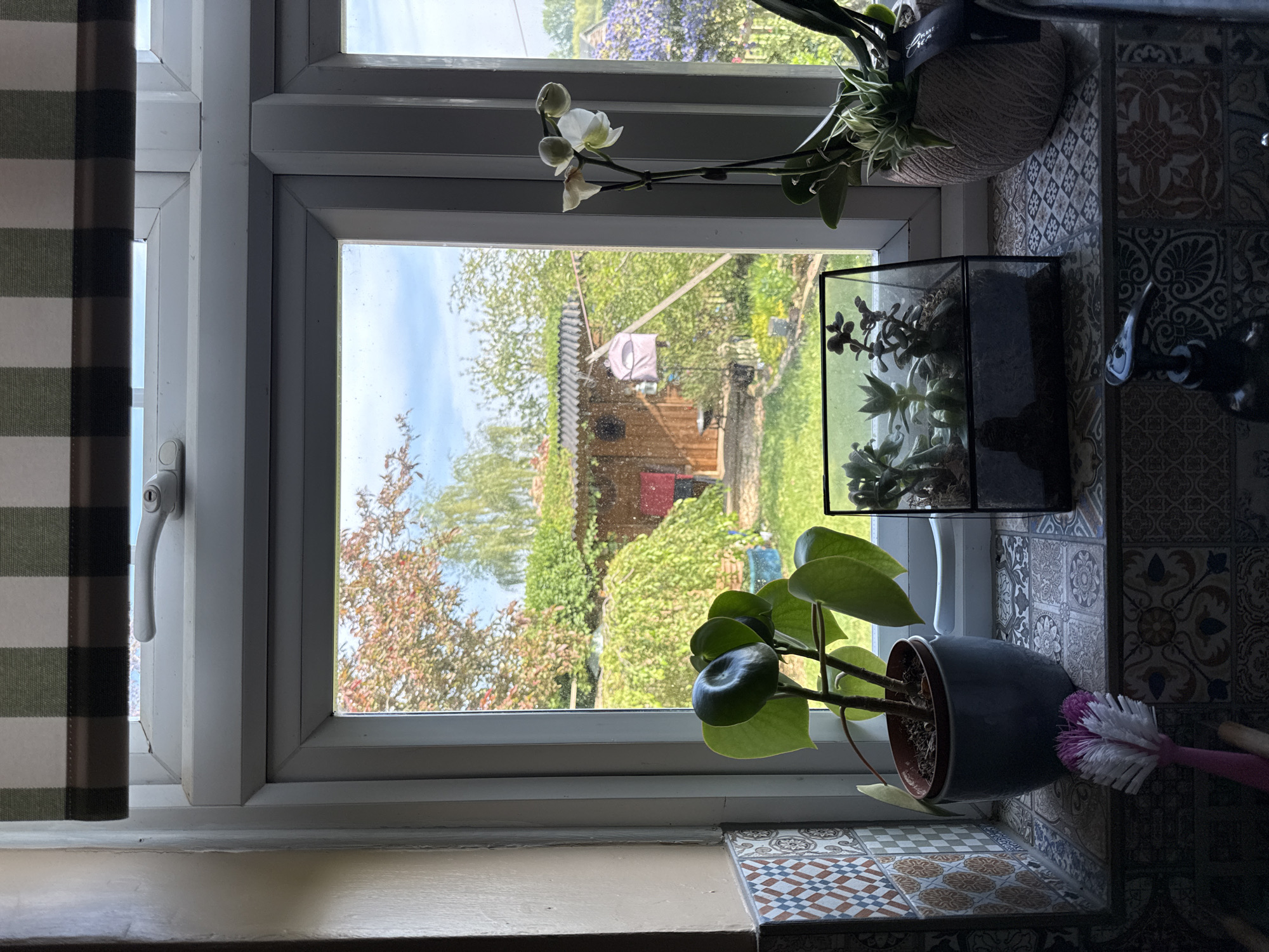 A view through a window reveals a garden scene, featuring a wooden structure, likely a shed or summerhouse, with a red door and a clothesline displaying hanging fabric or clothing. The sky is partially visible with scattered clouds. Foreground elements include plants on the windowsill, such as an orchid with white blooms, succulents in a glass container, and a leafy green plant in a dark pot. The interior setting is a kitchen or similar area with patterned tiles visible on the wall and windowsill. A window handle and a portion of a checkered curtain are also visible. The location is Stotfold, United Kingdom.