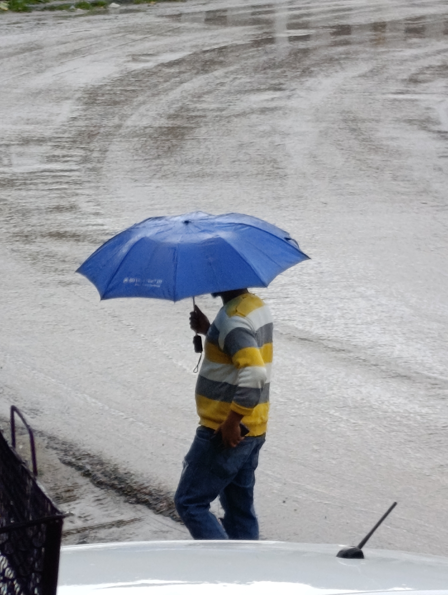 A person is walking in the rain under a blue umbrella. The person is wearing a striped shirt and jeans. The ground is wet and appears to be a road or pavement. The scene suggests an outdoor environment in a city, possibly during inclement weather. The image provides no specific details about the location in the city of Aleo, India.