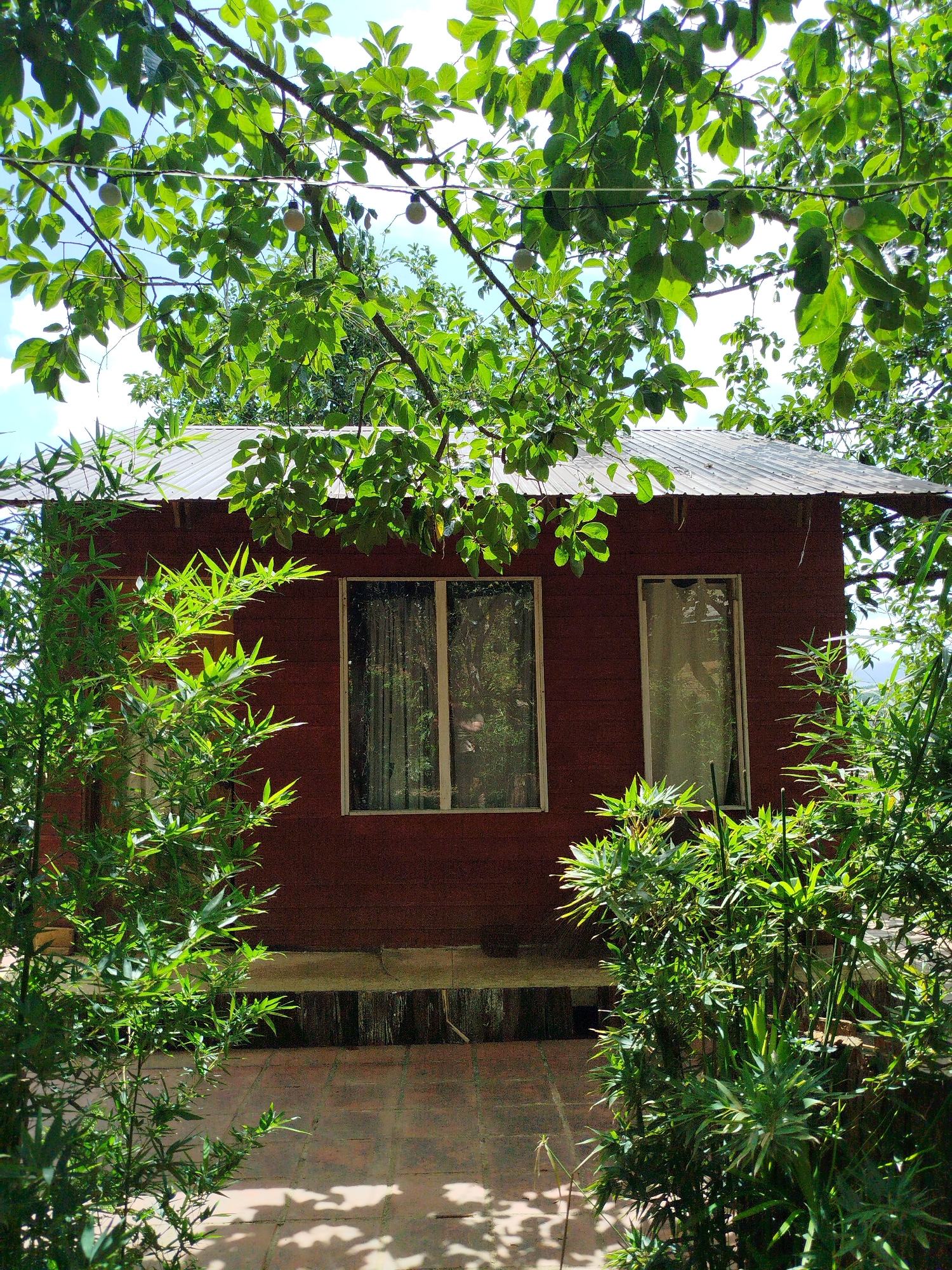 A dark red, wooden structure, possibly a small house or shed, is partially obscured by lush green foliage. The building has a corrugated metal roof and two windows with white frames. The left window is larger and wider than the right window. Both windows appear to have sheer curtains. In front of the building, a paved area with reddish-brown tiles is visible, with dappled sunlight casting shadows. Green bamboo plants and other leafy branches surround the structure, suggesting a natural, possibly rural or garden setting. The sky above is blue with some white clouds. The overall impression is one of a rustic, secluded location, perhaps in Trường An, Vietnam, where nature is encroaching on the man-made structure.