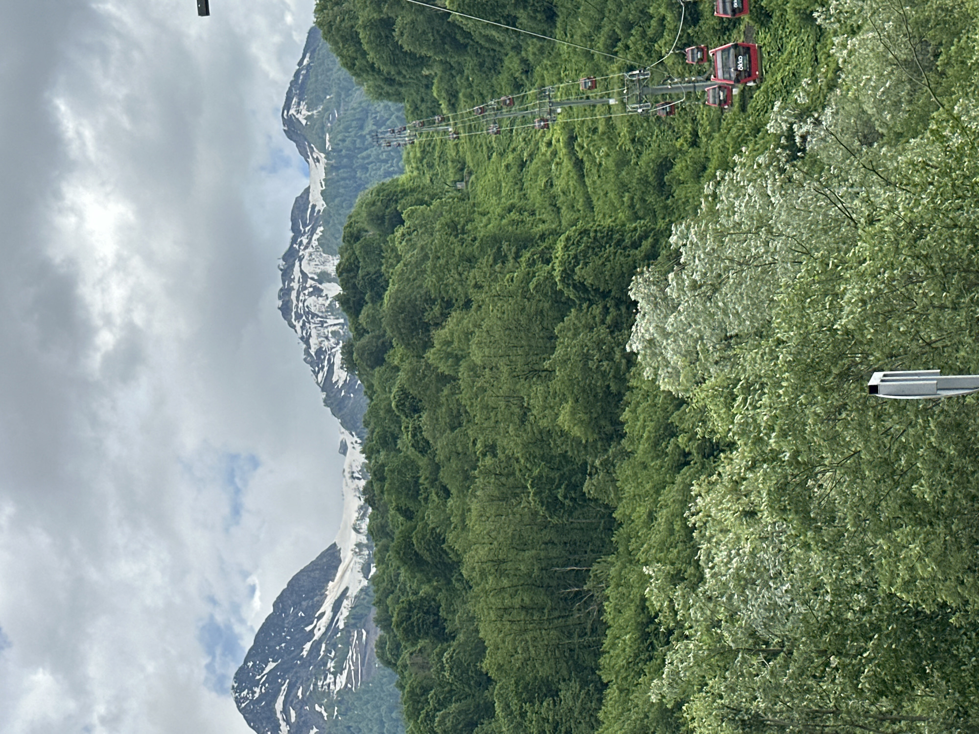 The image captures a vibrant mountainous landscape in Estosadok, Russia, under an overcast sky. In the background, majestic peaks rise, partially covered with snow and glaciers, suggesting high altitude or lingering winter conditions. The sky is predominantly grey with patches of lighter clouds, hinting at a cloudy day.
The middle and lower sections of the scene are dominated by a dense, verdant forest, displaying various shades of green, indicative of lush summer foliage. The trees cover the steep slopes, extending from the base of the snowy peaks down towards the foreground.
Prominently featured on the right side of the image, extending from the bottom right corner upwards and into the distance, is a gondola lift system. Multiple red gondola cabins, each bearing the white "Okko" logo, are visible ascending the steep, forested incline. The cabins are spaced evenly along the cable, supported by tall, grey metallic towers. The gondola system disappears into the upper reaches of the forest on the distant mountain slope.
In the immediate foreground, dense green foliage, with some trees exhibiting lighter, silvery-green leaves, partially obscures the base of the gondola towers and the lower part of the forested slope. No people are visible within the frame. The overall impression is one of a scenic mountain resort area, likely offering summer activities.