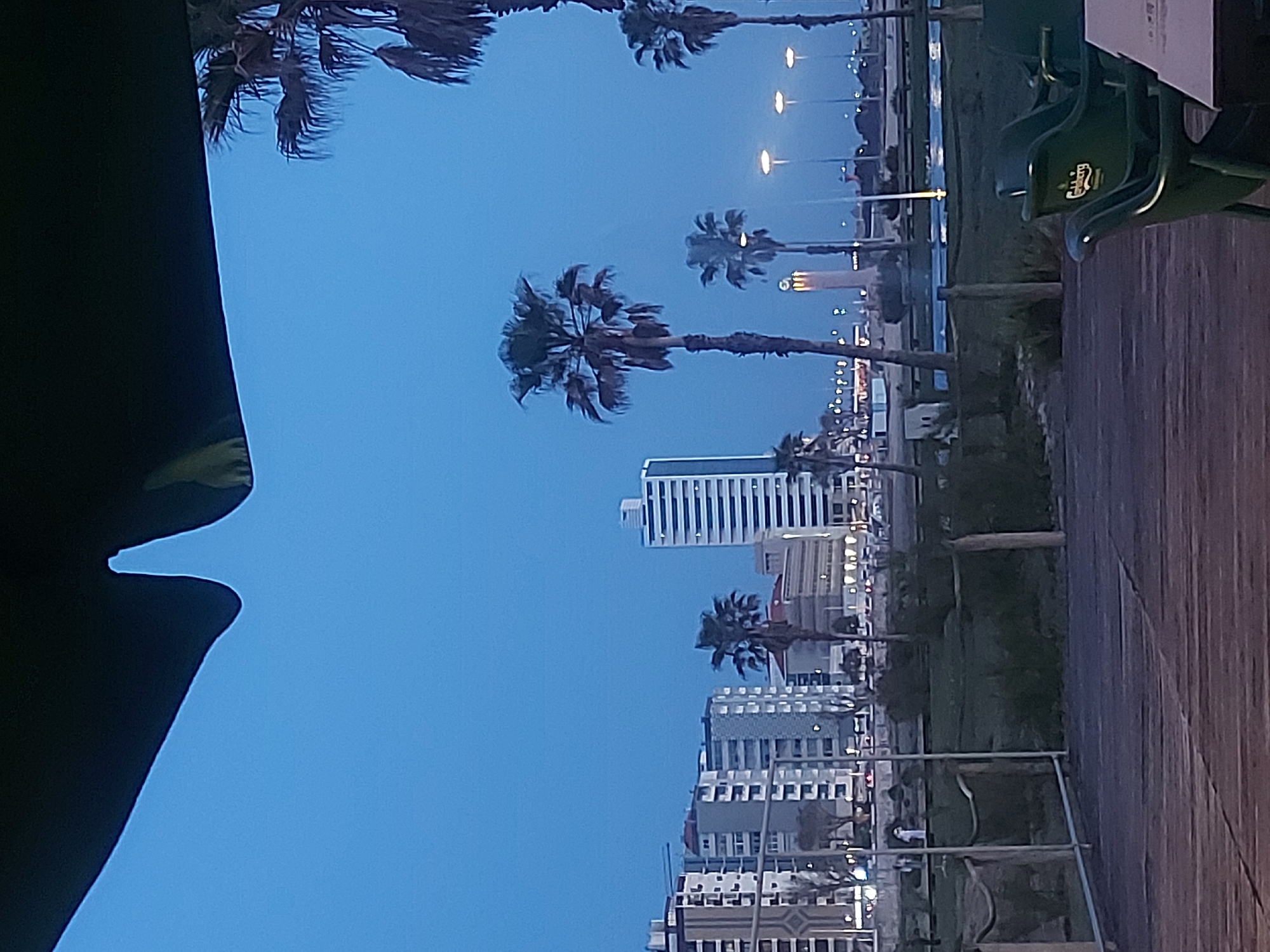 The image depicts an urban coastal scene in Figueira da Foz, Portugal, at dusk. Silhouetted palm trees line a boardwalk, with modern high-rise buildings visible in the background, illuminated by streetlights. A portion of a green Carlsberg-branded bench is visible in the foreground, positioned on the boardwalk. The sky is a deep blue, indicating the late hour. The scene is viewed from an obstructed perspective, with a dark object (likely part of a canopy or umbrella) intruding into the left side of the frame. The composition suggests a tourist or residential area adjacent to the beach or promenade.