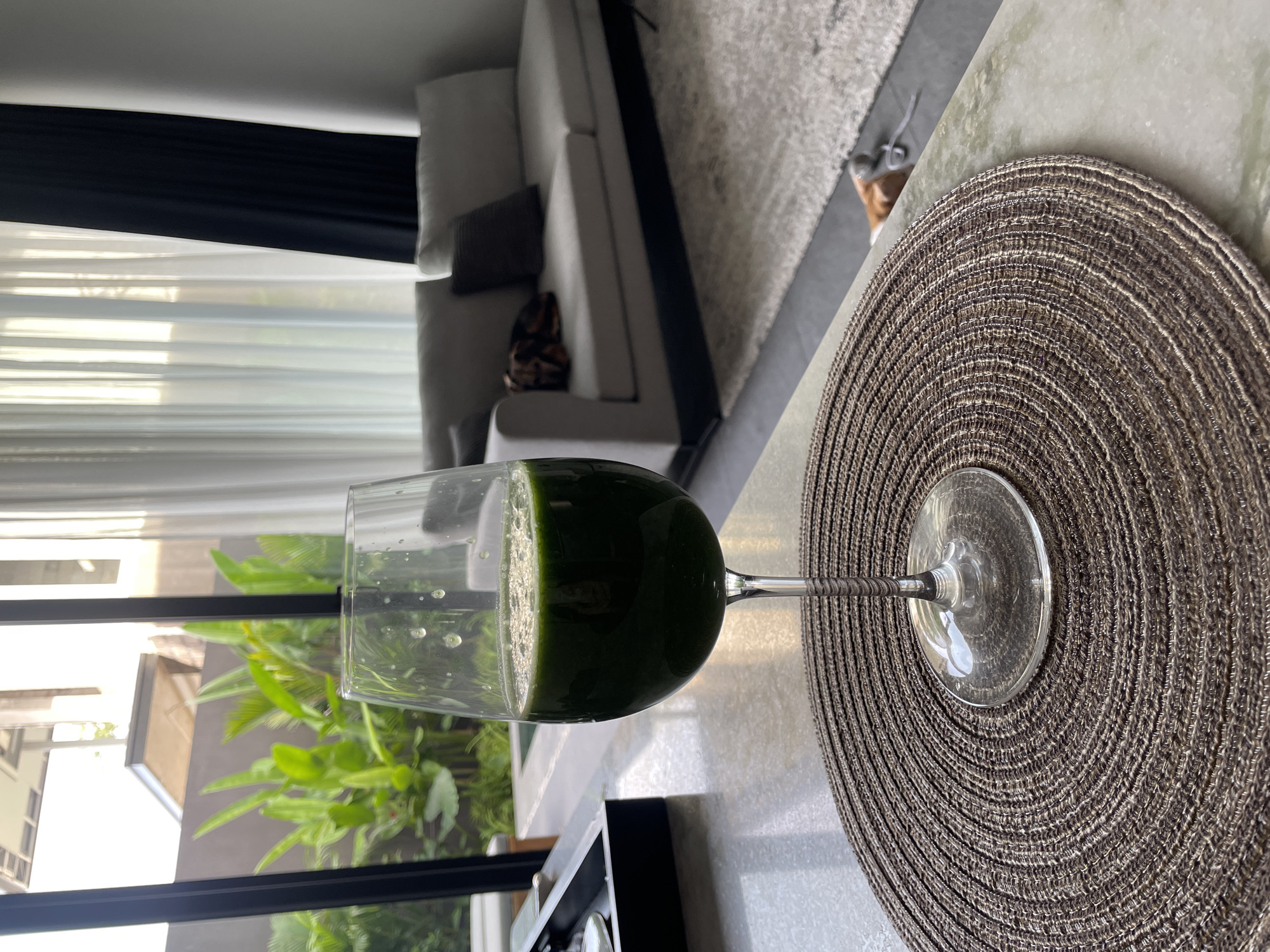 A close-up shot captures a glass of dark green juice resting on a woven placemat. The glass, filled to about three-quarters capacity, has a frothy top and sits on a light-colored marble countertop. In the background, a contemporary living room is visible, featuring a large, light gray sectional sofa with dark throw pillows. A beige and white rug covers the floor in front of the sofa. Large windows with sheer white curtains and black drapes allow natural light to enter, offering a view of lush green plants and a modern architectural structure outside. A dog, possibly a Jack Russell Terrier, is partially visible in the background, near a gray floor and a white rug, appearing to interact with a toy. The overall setting suggests a residential interior, likely in a modern home. The image does not provide any specific clues to its location in Kediri, Indonesia.