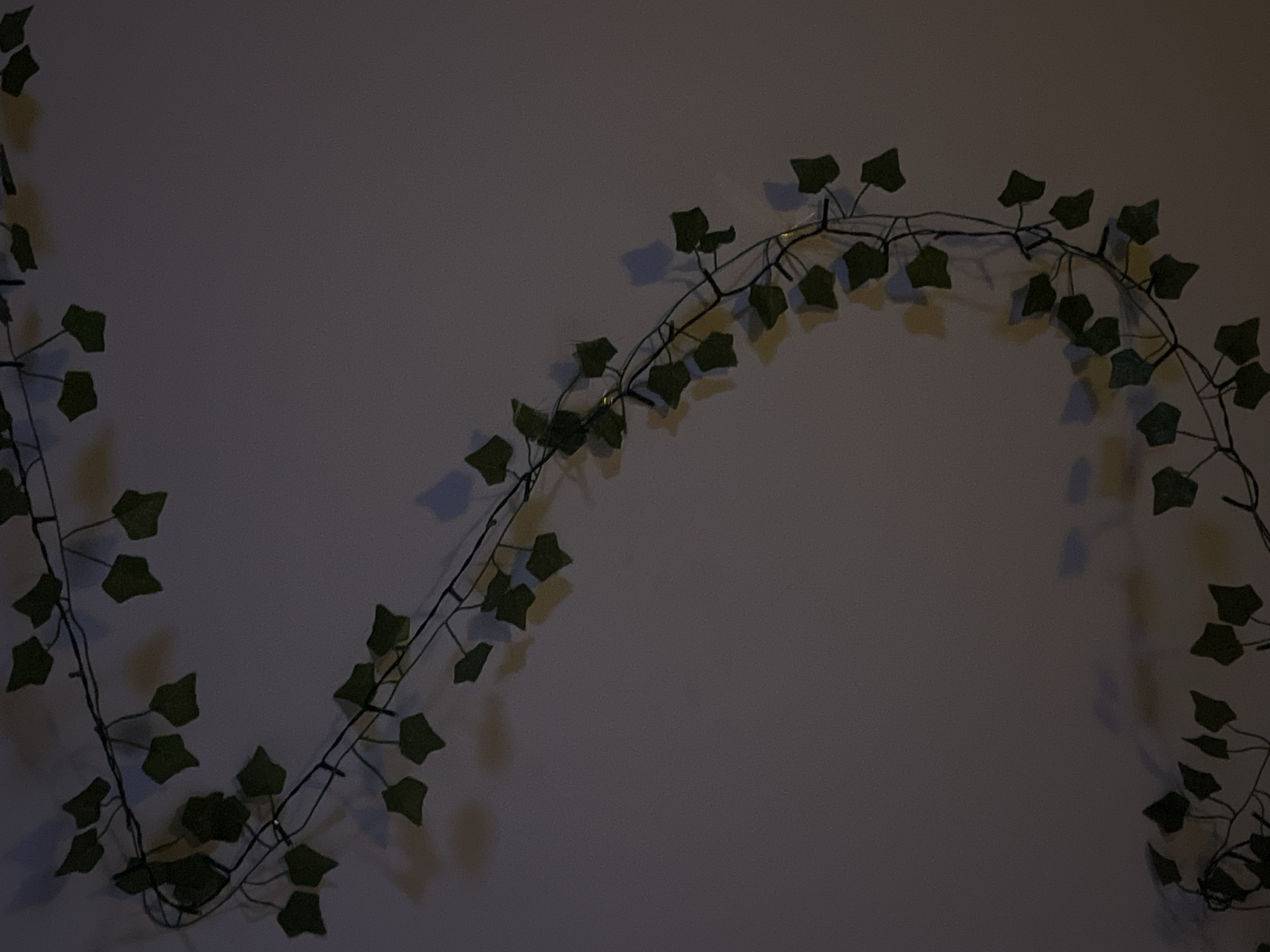 A strand of faux ivy is draped against a matte, solid color wall. The strand arcs from the lower left, rises to the upper right, then descends toward the lower right of the frame. Individual faux ivy leaves are spaced along the dark, thin strand, casting faint shadows onto the wall. The scene is dimly lit, with a soft overall light level, and is located in Unknown, Unknown.