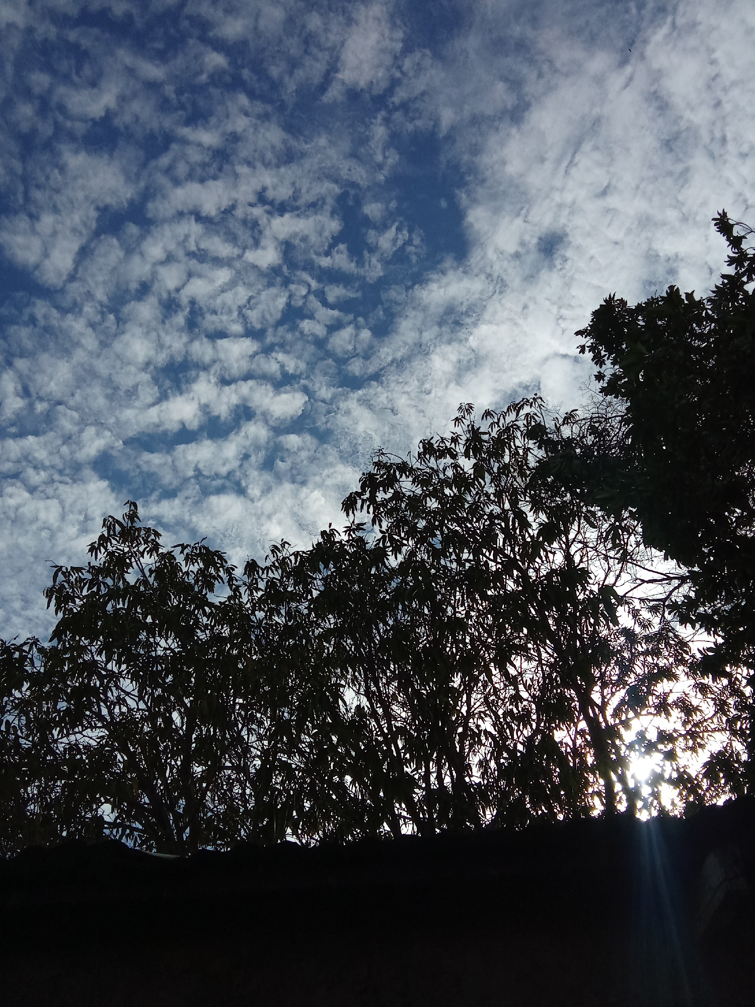 The image shows a view of the sky with altocumulus clouds, partially obscured by silhouetted trees and a dark foreground structure. Sunlight shines through the branches, creating bright rays. The location is suggested to be Juan Griego, Venezuela, but this cannot be confirmed visually from the image itself. The scene appears to be outdoors during daytime.