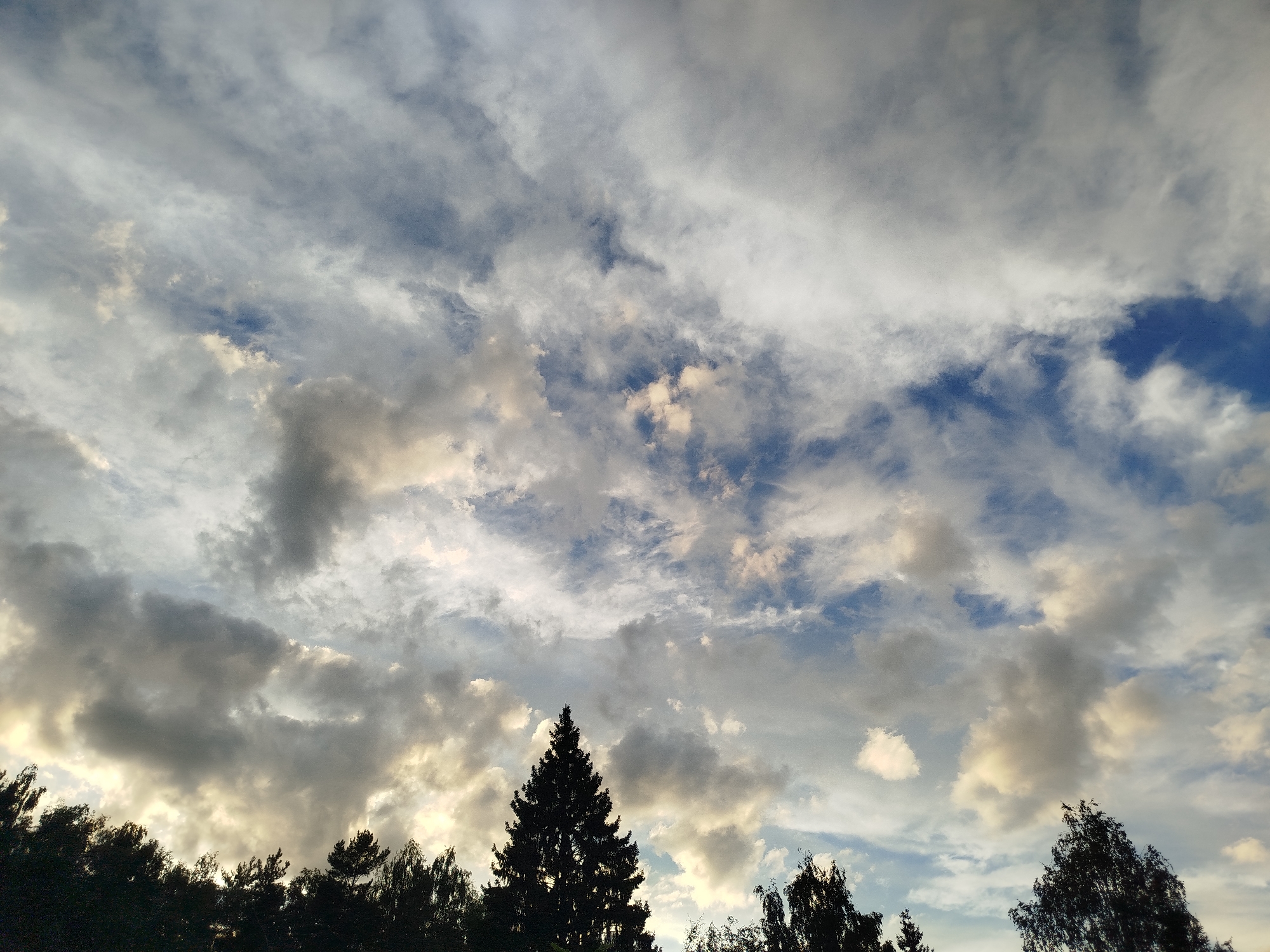 A wide shot depicts the sky above a silhouetted treeline in the city of Chkalovskoye SNT, Russia. The sky is filled with a mixture of white and gray clouds, with patches of blue sky visible. Sunlight filters through the clouds, creating a dramatic, illuminated effect in some areas. The tops of various trees, primarily evergreen and deciduous, form a dark silhouette along the bottom edge of the frame, obscuring any ground-level details. The scene is devoid of any human presence or activity.